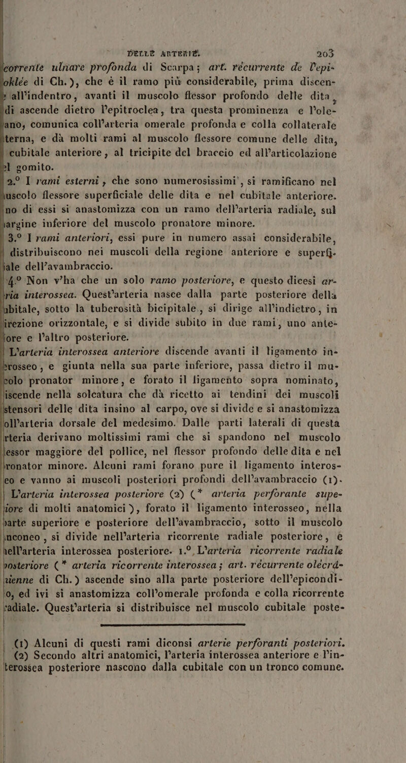 correrite ulnare profonda di Scarpa; art. recurrente de l'epi- toklée di Ch.), che è il ramo più considerabile, prima discen- &amp; all’indentro, avanti il muscolo flessor profondo delle dita \di ascende dietro l’epitroclea, tra questa prominenza e l’ole- ano, comunica coll’arteria omerale profonda e colla collaterale terna, e dà molti rami al muscolo flessore comune delle dita, ‘cubitale anteriore; al tricipite del braceio ed all’articolazione 31 gomito. | 2° I rami esterni , che sono numerosissimi’, si ramificano nel uscolo flessore superficiale delle dita e nel cubitale anteriore. ino di essi si anastomizza con un ramo dell'arteria radiale, sul rargine inferiore del muscolo pronatore minore. 3.° I rami anteriori, essi pure in numero assai considerabile, distribuiscono nei muscoli della regione anteriore e superf- ale dell’avambraccio. 4° Non vwha che un solo ramo posteriore, e questo dicesi ar- ria interossea. Quest’arteria nasce dalla parte posteriore della bitale, sotto la tuberosità bicipitale., si dirige all’indietro, in irezione orizzontale, e si divide subito in due rami, uno ante&gt; lore e l’altro posteriore. L’arteria interossea anteriore discende avanti il Nigamento in- Erosseo, e giunta nella sua parte inferiore, passa dietro il mu- leolo pronator minore, e forato il ligamento: sopra nominato, iscende nella solcatura che dà ricetto ai tendini dei muscoli stensori delle dita insino al carpo, ove si divide e si anastomizza oll’arteria dorsale del medesimo. Dalle parti laterali di questa teria derivano moltissimi rami che si spandono nel muscolo lessor maggiore del pollice, nel flessor profondo delle dita e nel ironator minore. Alcuni rami forano pure il ligamento interos- eo e vanno ai muscoli posteriori profondi dell’avambraccio (1). L’arteria interossea posteriore (2) (* arteria perforante supe- tore di molti anatomici ), forato il ligamento interosseo, nella yarte superiore e posteriore dell’avambraccio, sotto il muscolo inconeo , si divide nell’arteria ricorrente radiale posteriore, è ‘hell’arteria interossea posteriore. 1.°,L’arteria ricorrente radiale bosteriore (* arteria ricorrente interossea ; art. récurrente olecrd= lzienne di Ch.) ascende sino alla parte posteriore dell’epicondi- ‘o, ed ivi sì anastomizza coll’omerale profonda e colla ricorrente i de Quest’arteria si distribuisce nel muscolo cubitale poste- | | (2) Secondo altri anatomici, l’arteria interossea anteriore e l’in- (1) Alcuni di questi rami diconsi arterie perforanti posteriori. terossea posteriore nascono dalla cubitale con un tronco comune. | i Ì {