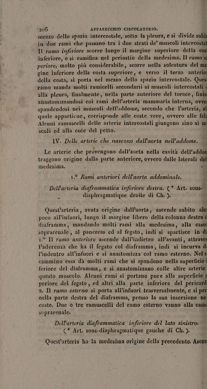 .mezzo dello spazio intercostale, sotto la pleura, e si divide subif in due rami che passano tra i due strati de’ muscoli intercostal TI ramo inferiore scorre lungo il margine superiore della cos ‘inferiore, e si ramifica nel periostio della medesima, Il ramo si periore, molto più considerabile, scorre nella solcatuta del ma gine inferiore della costa superiore, e verso il terzo anterio della costa, si porta nel mezzo dello spazio intercostale. Quesi ramo manda molti. ramicelli secondarii ai muscoli intercostali ‘ alla pleura, finalmente, nella parte anteriore del torace, finis anastomizzandosi coi rami dell’arteria mammaria interna, ovvei spandendosi nei muscoli dell’addome, secondo che l'arteria, al quale apparticue, corrisponde alle coste vere, ovvero alle fals Alcuni ramuscelli delle arterie intercostali giungono sino ai m scoli ed alla cute del petto. IV. Delle arterie che nascono dall’aorta nell’addome. Le arterie che provengono dall’aorta nella cavità dell’addon traggono origine dalla parte anteriore, ovvero dalle laterali del medesima. IO è 1.° Rami anteriori dell'aorta addominale. Dell’arteria diaframmatica inferiore destra. (* Art. sous ri diaphragmatique droite di Ch. ). Quest’arteria, avuta origine dall’aorta, ascende subito alci poco all’infuori, lungo il. margine libero della colonna destra d diaframma, mandando molti rami alla medesima, alla casst soprarenale , al pancreas ed al fegato, indi si spartisce in di 1.° Il ramo anteriore ascende dall’iadietro all’avanti, attravei V’aderenza che ha il fegato col diaframma, indi si incurva di l’indentro all’infuori e si anastomizza‘col ramo esterno. Nel s cammino essa dà molti rami che si spandono nella superficie‘ feriore del diaframma, e si anastomizzano colle altre arterie questo muscolo. Alcuni rami si portano pure alla superficie # periore del fegato, ed altri alla parte inferiore del pericard 2. Il ramo esterno si porta all’infuori trasversalmente, e si per nella parte destra del diaframma, presso la sua inserzione ne! coste. Due o tre ramuscelli del ramo esterno vanno alla cass soprarenale. Dellarteria diaframmatica inferiore del lato sinistro. (* Art. sous-diaphragmatique gauche di Ch. ). Quest’arteria ha la medesima orìgine della precedente. Ascen