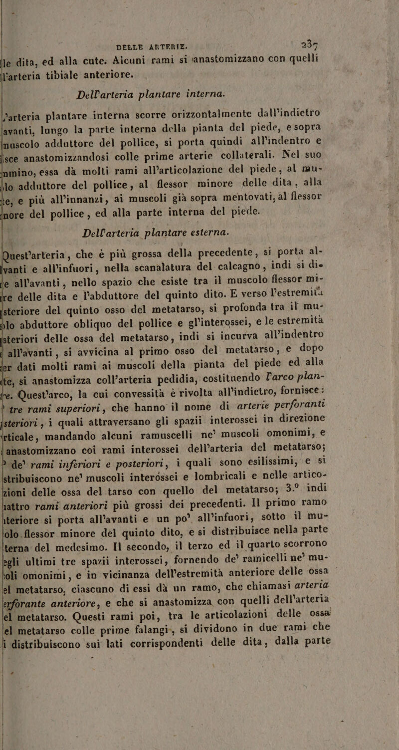 lle dita, ed alla cute. Alcuni rami si anastomizzano con quelli l'arteria tibiale anteriore. Dell’arteria plantare interna. l'arteria plantare interna scorre orizzontalmente dall’indietro lavanti, lungo la parte interna della pianta del piede, e sopra muscolo adduttore del pollice, si porta quindi all’indentro e ‘sce anastomizzandosi colle prime arterie collaterali. Nel suo nmino, essa dà molti rami all’articolazione del piede, al mu- \lo adduttore del pollice, al. flessor minore delle dita, alla e, e più all’innanzi, ai muscoli gia sopra mentovati, al flessor nore del pollice, ed alla parte interna del piede. Dell’arteria plantare esterna. uest’arteria, che è più grossa della precedente, si porta al- anti e all'infuori, nella scanalatura del calcagno, indi si die ‘e all’avanti, nello spazio che esiste tra il muscolo flessor mi- le delle dita e l’abduttore del quinto dito. E verso l’estremitu steriore del quinto osso del metatarso, sì profonda tra il mu- lo abduttore obliquo del pollice e gl’interossei, e le estremità steriori delle ossa del metatarso, indi si incurva all’indentro all’avanti, si avvicina al primo osso del metatarso , € dopo r dati molti rami ai muscoli della pianta del piede ed alla te, si anastomizza coll’arteria pedidia, costituendo l'arco plan- e. Quest’arco, la cui convessità è rivolta all’indietro, fornisce : tre rami superiori, che hanno il nome di arterie perforanti steriori ; i quali attraversano gli spazii interossei in direzione rticale, mandando alcuni ramuscelli ne’ muscoli omonimi, e anastomizzano coi rami interossei dell’arteria del metatarso; de’ rami inferiori e posteriori, i quali sono esilissimi, e si stribuiscono ne’ muscoli interdssei e lombricali e nelle artico- zioni delle ossa del.tarso con quello del metatarso; 3. indi lattro rami anteriori più grossi dei precedenti. Il primo ramo iteriore si porta all’avanti e un po’ all’infuori, sotto il mu- olo flessor minore del quinto dito, e si distribuisce nella parte Iterna' del medesimo. Il secondo, il terzo ed il quarto scorrono gli ultimi tre spazii interossei; fornendo de’ ramicelli ne' mu- ‘oli omonimi, e in vicinanza dell’estremità anteriore delle ‘ossa el metatarso, ciascuno di essi dà un ramo, che chiamasi arteria erforante anteriore, e che si anastomizza con quelli dell’arteria el metatarso. Questi rami poi, tra le articolazioni delle ossa el metatarso colle prime falangi», si dividono in due rami che Îì distribuiscono sui lati corrispondenti delle dita, dalla parte -