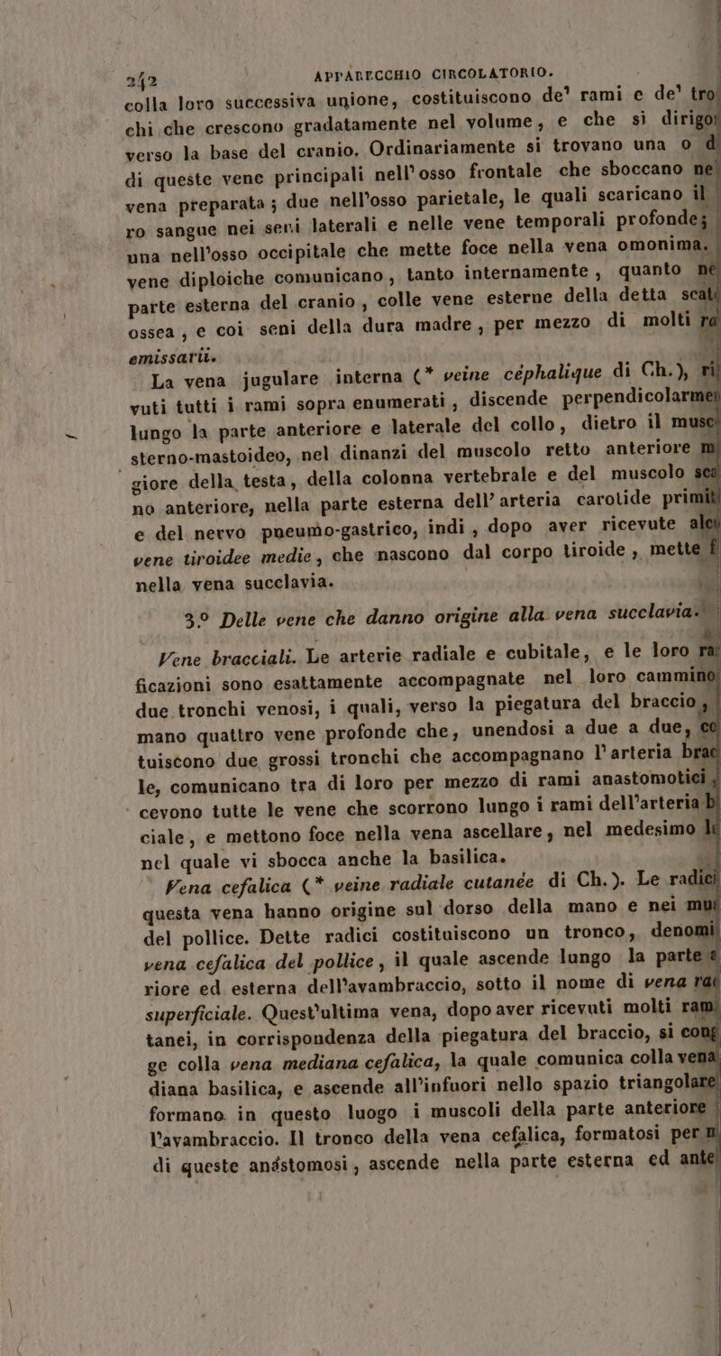 i 242 APPARECCHIO CIRCOLATORIO. colla loro successiva unione, costituiscono de* rami e de’ tro chi che crescono gradatamente nel volume, € che si dirigo verso la base del cranio, Ordinariamente si trovano una 0 di queste vene principali nell’osso frontale che sboccano nel vena preparata ; due nell’osso parietale, le quali scaricano il î ro sangue nei seni laterali e nelle vene temporali profonde; | una nell’osso occipitale che mette foce nella vena omonima. , vene diploiche comunicano , tanto internamente , quanto né parte esterna del cranio, colle vene esterne della detta scat ossea, e coi seni della dura madre, per mezzo di molti ra ni emissaril. La vena jugulare interna (* veine céphalique di Ch.), ri vuti tutti i rami sopra enumerati , discende perpendicolarmet lungo la parte anteriore e laterale del collo, dietro il musei sterno-mastoideo, nel dinanzi del muscolo retto anteriore mi | giore della testa, della colonna vertebrale e del muscolo sca no anteriore, nella parte esterna dell’ arteria carotide primi e del nervo pneumo-gastrico, indi , dopo aver ricevute ale vene tiroidee medie, che Îmascono dal corpo tiroide , mette È nella vena succlavia. ficazioni sono esattamente accompagnate nel loro cammino; due tronchi venosi, i quali, verso la piegatura del braccio , | mano quattro vene profonde che, unendosi a due a due, ce tuiscono due grossi tronchi che accompagnano l'arteria brae le, comunicano tra di loro per mezzo di rami anastomotici | cevono tutte le vene che scorrono lungo i rami dell’arteria bi ciale, e mettono foce nella vena ascellare, nel medesimo li nel quale vi sbocca anche la basilica. Vena cefalica (* veine radiale cutanée di Ch.). Le radici questa vena hanno origine sul dorso della mano e nei. del pollice. Dette radici costituiscono un tronco, denom vena cefalica del pollice , il quale ascende lungo la parte @ riore ed esterna dell’avambraccio, sotto il nome di verra rai superficiale. Quest'ultima vena, dopo aver ricevuti molti ram! tanei, in corrispondenza della piegatura del braccio, si cong ge colla vena mediana cefalica, la quale comunica colla vena. diana basilica, e ascende all’infuori nello spazio triangolare formano. in questo luogo i muscoli della parte anteriore | l’avambraccio. Il tronco della vena cefalica, formatosi per n di queste anéstomosi, ascende nella parte esterna ed ante!