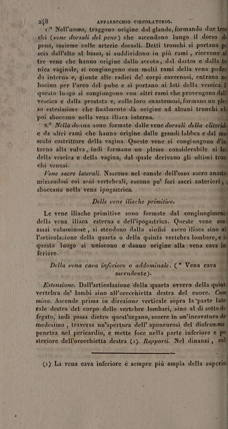 ° Nell’uomo, traggono origine dal glande, formando due troti chi (vene dorsali del pene) che ascendono lungo il dorso di pene, insieme colle arterie dorsali. Detti tronchi si portano . scia dall’alto al basso, si suddividono in più rami , ricevono all tre vene che hanno origine dallo seroto, dal dartos e dalla t nica vaginale, si congiungono ‘con molti rami della vena puder da interna e, giunte alle radici de corpi cavernosi, entrano ne bacino per V’arco del pube e si portano ai lati della vescica. questo luogo si congiungono con altri rami che provengono dalli vescica e dalla prostata e, colle loro anastomosi, formano un pleé 80 estesissirao: che finalmente dà origine ad alcuni tronchi chi poi sboccano nella vena: iliaca interna. ; ni 4.° Nella donna sono formate dalle vene dorsali della clitoride e da ‘altri rami che hanno origine dalle grandi labbra e dal ù scolo costrittore della vagina: Queste vene si congiungono d’ini torno alla vulva, indi formano cun plesso. considerabile ai lat. della vescica e della. vagina, dal quale derivano gli ultimi troni chi venosi. i i crv Vene sacre laterali. Nascono nel canale dell'osso sacro anas mizzandosi coi seni vertebrali, escono pe' fori sacri anteriori, | sboccano nella vena ipogastrica. sa) epa $ 00 usi Delle vene iliache primitive. s Le vene iliache primitive sono formate dal csi giving cr ‘ della vena iliaca esterna e dell’ipogastrica. Queste vene son assai voluminose, si stendono dalla sinfisi. sacro iliaca sino al l’articolazione della quarta o della quinta vertebra lombare, e it questo luogo si uniscono, e danno origine: alla» vena cava’ în feriore. de Della vena cava inferiore o addominale. (* Vena cava | ascendente). a = ourerae?o Estensione. Dall’articolazione ‘della quarta ovvero della quint vertebra de’ lombi sino all’orecchietta destra del cuore. Cami mino. Ascende prima in direzione verticale sopra la ‘parte late; rale destra del corpo: delle vertebre lombari, sino al di sotto, de fegato, indi passa dietro quest’organo, scorre in un ’incavatura de. Fiction , traversa un'apertura dell’ aponeurosi del diaframma. penetra nel pericardio, e mette foce nella parte inferiore e mi steriore dell’orecchietta destra (‘). Rapporti. Nel dinanzi , si i | ‘ I Ù (1) La vena cava inferiore è sempre più ampia della superio; sro; gere ea ui Ta