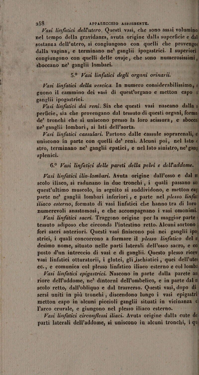 Vasi linfatici dell'utero, Questi vasi, che sono assai volumino! nel tempo della gravidanza, avuta origine dalla superficie e da sostanza dell’utero, si congiungono con quelli che provengo dalla vagina, e terminano ne’ ganglii ipogastrici. I superiori astra gono con quelli delle ovaje, che sono numerosissimi ,i sboccano ne’ ganglii lombari. 5° Vasi linfatici degli organi orinarii. Vasi linfatici della vescica. In numero considerabilissimay &amp; guono il cammino dei vasi di quest’organo e metton capo. U ganglii ipogastrici. Vasi linfatici dei reni. Sia che questi vasi nascano dalla: perficie, sia che provengano dal tessuto di questi organi, for de’ tronchi che-si uniscono presso la loro scissura, e sbocca ne' ganglii lombari, ai lati dell’aorta. Sd Vasi linfatici cassulari. Partono dalle cassule sopracenali@ uniscono in parte con quelli de’ reni. Alcuni poi, nel lato € stro, terminano ne’ ganglii epatici, e nel lato sinistro, ne *gane splenici. 6.° Vasi linfatici delle pareti della pelvi e dell'addome. i dd} Vasi linfatici ilio-lombari. Avuta origine dall’osso e dal m scolo iliaco, si radunano in due tronchi, i quali passano #0 quest’ultimo muscolo, in seguito si suddividono, e metton cap parte ne’ ganglii lombari inferiori , e parte nel plesso linfati iliaco esterno, formato di vasi linfatici che hanno tra di loro numerevoli anastomosi, e che accompagnano i vasi omonimi. Vasi linfatici sacri. Traggono origine per la maggior parte tessuto adiposo che' circonda l’intestino retto. Alcuni sortono È | fori sacri anteriori. Questi vasi finiscono poi nei ganglii ip strici, i quali concorrono a formare il plesso linfatico del desimo nome, situato nelle parti laterali dell’osso sacro, e ct posto d’un intreccio di vasi e di ganglii. Questo plesso ric vasi linfatici otturatorii, i glutei, gli ischiatici , quei dell’ ec., e comunica col plesso linfatico iliaco esterno e col lomba Vasi linfatici epigastrici. Nascono in parte dalla parete an riore dell’addome, ne? dintorni dell’ombelico, e in parte dal n scolo retto, dall’obliquo e dal trasverso. Questi vasi, dopo di sersi uniti in più tronchi, discendono lungo i vasi epigastri; metton capo in alcuni piccioli ganglii situati in vicinanza © l’arco crurale, e giungono nel plesso iliaco esterno. | Vasi linfatici circonflessi iliaci. Avuta origine dalla cute d parti laterali dell’addome, si uniscono in alcuni tronchi, iq