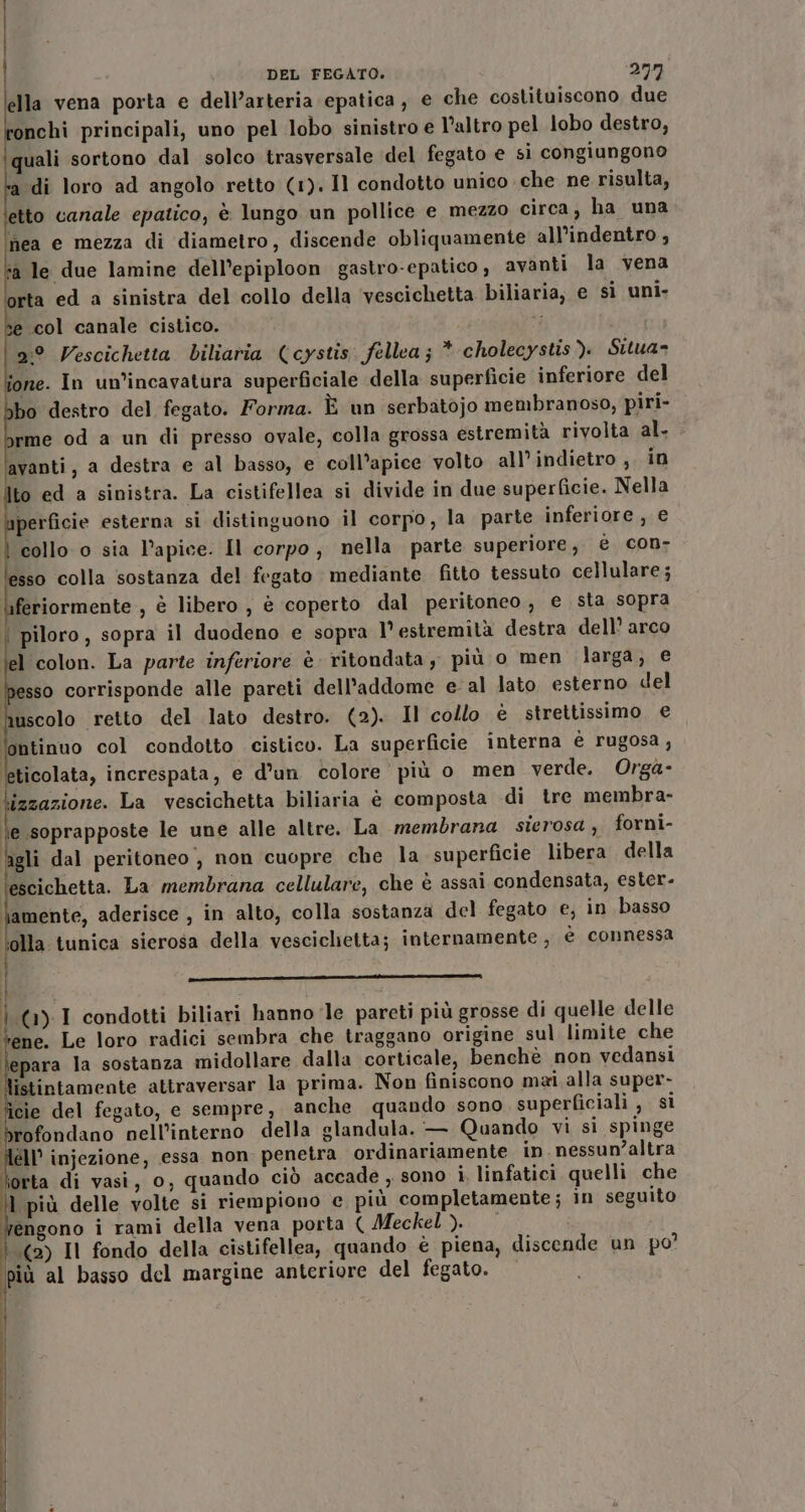 ella vena porta e dell’arteria epatica, e che costituiscono due onchi principali, uno pel lobo sinistro e l’altro pel lobo destro, quali sortono dal solco trasversale del fegato e si congiungono a di loro ad angolo retto (1). Il condotto unico che ne risulta, etto canale epatico, è lungo un pollice e mezzo circa, ha una nea e mezza di diametro, discende obliquamente all’indentro ; ‘a le due lamine dell’epiploon gastro-epatico, avanti la vena orta ed a sinistra del collo della ‘vescichetta biliaria, e si uni- se col canale cistico. di 9:° Vescichetta biliaria (cystis. fellea; * cholecystis ). Situa= ione. In un’incavatura superficiale della superficie inferiore del bo destro del fegato. Forma. È un serbatojo membranoso, piri- yrme od a un di presso ovale, colla grossa estremità rivolta al. avanti, a destra e al basso, e coll’apice volto all'indietro ,. in to ed a sinistra. La cistifellea si divide in due superficie. Nella perficie esterna si distinguono il corpo, la parte inferiore , € collo o sia l'apice. Il corpo, nella parte superiore, è con esso colla sostanza del fegato mediante fitto tessuto cellulare; uferiormente , è libero , è coperto dal peritoneo, e sta sopra | piloro, sopra il duodeno e sopra l’ estremità destra dell’ arco el colon. La parte inferiore è ritondata, più o men larga; e esso corrisponde alle pareti dell'addome e-al lato, esterno del Ruscolo retto del lato destro. (2). Il collo è strettissimo € lontinuo col condotto cistico. La superficie interna è rugosa, leticolata, increspata, e d’un colore più o men verde. Orga- lizzazione. La vescichetta biliaria è composta di tre membra- le soprapposte le une alle altre. La membrana sierosa, forni- ‘agli dal peritoneo, non cuopre che la superficie libera della escichetta. La membrana cellulare, che è assai condensata, ester. lamente, aderisce , in alto, colla sostanza del fegato e, in basso olla tunica sierosa della vescichetta; internamente, è connessa | r'Tti‘_—m ui il i i (1).I condotti biliari hanno le pareti più grosse di quelle delle tene. Le loro radici sembra che traggano origine sul limite che lepara la sostanza midollare dalla corticale, benchè non vedansi istintamente attraversar la prima. Non finiscono mai alla super- ficie del fegato, e sempre, anche quando sono superficiali , si HAD tnjezi nell’interno della glandula. — Quando vi si spinge Well’ injezione, essa non penetra ordinariamente in. nessun’altra orta di vasi, o, quando ciò accade , sono i, linfatici quelli che 1 più delle volte si riempiono e più completamente; in seguito Wengono i rami della vena porta ( Meckel). (2) Il fondo della cistifellea, quando è piena, discende un po? più al basso del margine anteriore del fegato. |