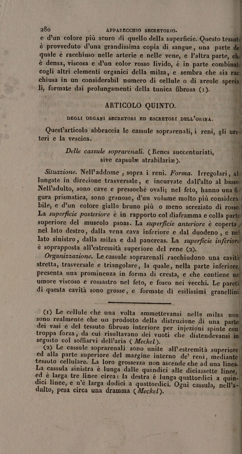 e d’un colore più scuro di quello della superficie. Questo tessu è provveduto d’una grandissima copia di sangue, una parte del quale è racchiuso nelle arterie e nelle vene, e l’altra patte, chi è densa, viscosa e d’un color rosso livido, è in parte combinati! cogli altri clementi organici della milza, e sembra che sia rac. chiusa in un considerabil numero di cellule o di areole specia. li, formate dai prolungamenti della tunica fibrosa (:). si ARTICOLO QUINTO. DEGLI ORGANI SECRETORI ED ESCRETORI DELL’ORINA. Quest'articolo ‘abbraccia le cassule soprarenali, i reni, gli ure® teri e la vescica. Delle cassule soprarenali. (Renes succenturiati, sive capsula atrabilaria). piu A Sttuazione. Nell’addome , sopra. i reni. Forma. Irregolari, ali lungate in direzione trasversale, e incurvate dall’alto al basso: Nell’adulto, sono cave e pressochè ovali; nel feto, hanno una fil gura prismatica, sono granose, d’un volume molto più considera. bile, e d’un colore giallo bruno più 0 meno screziato di rosso; La superficie posteriore è in rapporto col diaframma e colla parti superiore del muscolo psoas. La superficie anteriore è coperta ; nel lato destro, dalla vena cava inferiore e dal duodeno, e re. lato sinistro, dalla milza e dal pancreas. La superficie inferiore è soprapposta all’estremità superiore del rene (2). i Organizzazione. Le cassule soprarenali racchiudono una cavità stretta, trasversale e triangolare, la quale, nella parte inferiore) presenta una prominenza in forma di cresta, e che contiene un umore viscoso e rossastro nel feto, e fosco nei vecchi. Le pareti! di questa cavità sono grosse, e formate di esilissimi granellini, .1_————_a_———-PyFr——P—P (1) Le cellule che una volta ammettevansi nella milza non! sono realmente che un prodotto della distruzione di una parte. dei vasi ‘e del tessuto fibroso interiore per injezigni spinte con troppa forza, da cui risultavano dei vuoti. che FIANO n in seguito col soffiarvi dell’aria ( Meckel). ti (2) Le cassule soprarenali sono unite all’ estremità superiore’ ed alla parte superiore del margine interno de’ renì, mediante || tessuto cellulare. La loro grossezza non ascende che ad una linea.|. La cassula sinistra è lunga dalle quindici alle diciassette linee, | ed è larga tre linee circa: la destra è lunga quattordici a quin. dici linee, e n’è larga dodici a quattordici, Ogni cassula, nell’a=|] dulto, pesa circa una dramma ( Meckel). ver i