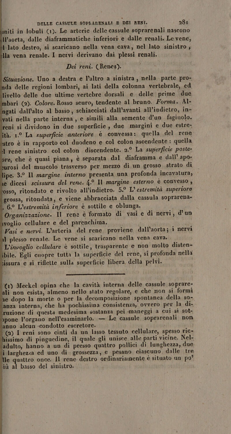 imiti in lobuli (1). Le arterie delle cassule soprarenali nascono ill’aorta, dalle diaframmatiche inferiori e dalle renali. Le vene, illato destro, si scaricano nella vena cava, nel lato sinistro ; Ma vena renale. I nervi derivano dai plessi renali. Dei reni. (Renes). Situazione. Uno a destra e l’altro a sinistra , nella parte pro- nda delle regioni lombari, ai lati della colonna vertebrale, ed livello delle due ultime vertebre dorsali e delle prime due bari (2). Colore. Rosso scuro, tendente al bruno. Forma. Al- ingati dall’alto al basso, schiacciati dall’avanti all’indietro, in- ivati nella parte interna , e simili alla, semente d’un fagiuolo. reni si dividono in due superficie, due margini e due estre- tà. 1° La superficie anteriore è convessa: quella del rene ‘stro è in rapporto col duodeno e col colon ascendente : quella »l rene sinistro col colon discendente. 2.° La superficie poste- ore, che è quasi piana, è separata dal diaframma e dall’ apo- surosi del muscolo trasverso per mezzo di un grosso strato di lipe. 3.° Il margine interno presenta una profonda incavatura, ie dicesi scissura del rene. 4.° Il margine esterno è convesso , ‘osso, ritondato e rivolto all’indietro. 5.° L' estremità superiore grossa, ritondata, e viene abbracciata dalla cassula soprarena» 6.° L’estremità inferiore è sottile e oblunga. i Organizzazione. Il rene è formato di vasi e di nervi, d'un ivoglio cellulare e del parenchima, | Vasi e nervi. L’arteria del rene. proviene dall’aorta; i nervi 1 plesso renale. Le vene si scaricano nella vena cava. | L'invoglio cellulare è sottile, trasparente e non molto disten- ibile. Egli cuopre tutta la superficie del rene, si profonda nella sissura e si riflette sulla superficie libera. della pelvi. î —— 0 IZ | (1) Meckel opina che la cavità interna delle cassule soprare- ali non esista, almeno nello stato regolare, e che non si formi ne dopo la morte o per la decomposizione spontanea della so= ‘anza interna, che ha pochissima consistenza, ovvero per la di-. ruzione di questa medesima sostanza pei maneggi a cui sì sot- hpone l’organo nell’esaminarlo. — Le cassule soprarenali non lanno alcun «condotto escretore. i i | (2) I reni sono cinti da un lasso tessuto cellulare, spesso ric- hissimo di pinguedine, il quale gli unisce alle parti vicine. Nel- ‘adalto, hanno a un di presso quattro pollici di lunghezza, due i largheza ed uno di. grossezza, € pesano ciascuno, dalle tre lle quattro once. Il rene destro ordinariamente è situato un po° ‘iù al basso del sinistro. ì J