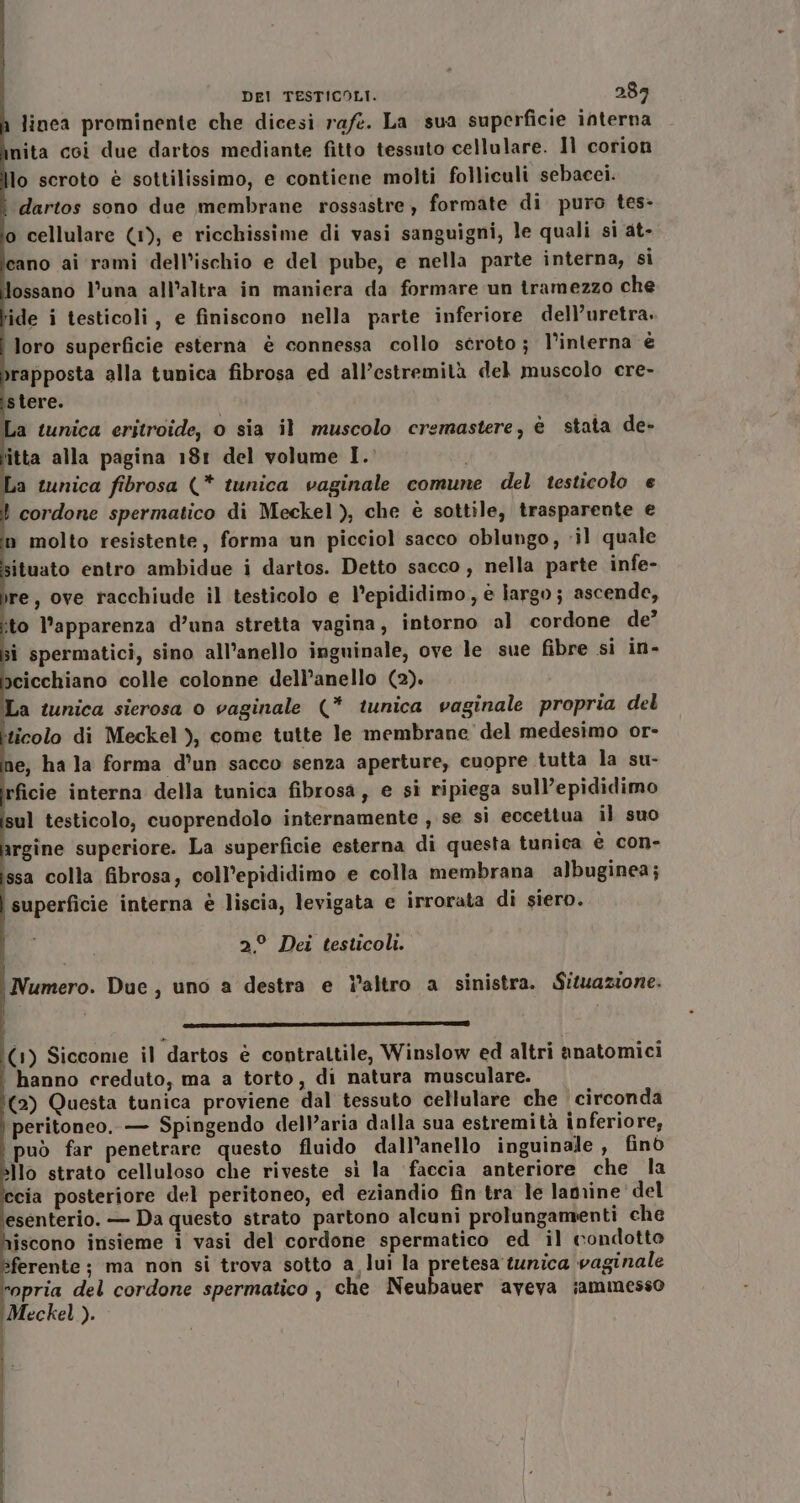 linca prominente che dicesi rafe. La sua superficie interna nita coi due dartos mediante fitto tessuto cellulare. Il corion lo scroto è sottilissimo, e contiene molti folliculi sebacei. dartos sono due membrane rossastre, formate di puro tes- o cellulare (1), e ricchissime di vasi sanguigni, le quali si at- cano ai rami dell’ischio e del pube, e nella parte interna, sì ossano l’una all’altra in maniera da formare un tramezzo che ide i testicoli, e finiscono nella parte inferiore dell’uretra. loro superficie esterna è connessa collo seroto; l’interna è rapposta alla tunica fibrosa ed all’estremità del muscolo cre- stere. i a tunica eritroide, o sia il muscolo cremastere, è stata de- itta alla pagina 181 del volume I. a tunica fibrosa (* tunica vaginale comune del testicolo e cordone spermatico di Meckel ), che è sottile, trasparente e n molto resistente, forma un picciol sacco oblungo, il quale ituato entro ambidue i dartos. Detto sacco, nella parte infe- re, ove racchiude il testicolo e l’epididimo, è iargo; ascende, ito l'apparenza d’una stretta vagina, intorno al cordone de’ si spermatici, sino all’anello inguinale, ove le sue fibre si in- pcicchiano colle colonne dell’anello (2). La tunica sierosa o vaginale (* tunica vaginale propria del ticolo di Meckel ), come tutte le membrane del medesimo or- e; ha la forma d’un sacco senza aperture, cuopre tutta la su- rficie interna della tunica fibrosa, e si ripiega sull’epididimo sul testicolo, cuoprendolo internamente , se si eccettua il suo argine superiore. La superficie esterna di questa tunica è con- ssa colla fibrosa, coll’epididimo e colla membrana albuginea; superficie interna è liscia, levigata e irrorata di siero. 2° Dei testicoli. Numero. Due, uno a destra e l’altro a sinistra. Situazione. (1) Siccome il dartos è contrattile, Winslow ed altri anatomici | hanno creduto, ma a torto, di natura musculare. (2) Questa tunica proviene dal tessuto cellulare che circonda peritoneo. — Spingendo dell’aria dalla sua estremità inferiore, può far penetrare questo fluido dall’anello inguinale, finò Îlo strato celluloso che riveste sì la ‘faccia anteriore che la cia posteriore del peritoneo, ed eziandio fin tra le lamine del esenterio. — Da questo strato partono alcuni prolungamenti che hiscono insieme i vasi del cordone spermatico ed il condotto sferente; ma non si trova sotto a lui la pretesa tunica vaginale ropria del cordone spermatico , che Neubauer aveva iammesso Meckel ).