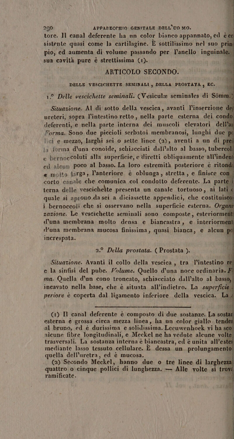 4 i 290 APPARECCHIO GENITALE DELL’UO MO. i tore. Il canal deferente ha un color bianco appannato, ed è ca sistente quasi come la cartilagine. È sottilissimo nel suo pri pio, ed aumenta di volume passando per l'anello inguinale. Sd: sua cavità pure è strettissima (1). i |. ARTICOLO SECONDO. i DELLE VESCICHETTE SEMINALI , DELLA PROSTATA , EC. 1° Delle vescichette seminali. (Vesicule seminales di Sòmm.. Situazione. AI di sotto della vescica, avanti l’inserzione vreteri, sopra l'intestino retto, nella parte esterna dei condòi deferenti, e nella parte interna dei muscoli elevatori de)l’a Forma. Sono due piccioli serbatoi membranosi, lunghi due pe lici e mezzo, larghi sei o sette linee (2), aventi a un di pre la forma d’una conoide, schiacciati dall’alto al basso, tubercol e bernoccoluti alla superficie, e diretti obliquamente all’inden ed alcun poco al basso. La loro estremità posteriore è riton e molto larga, l'anteriore è oblunga, stretta, e finisce con corto canale che comunica col condotto deferente. La parte. terna delle vescichelte presenta un canale tortuoso, ai lati } quale si aprono,da sei a diciassette appendici, che costituisca) i bernoccoli che si osservano nella superficie esterna. Organ zazione. Le vescichette seminali sono composte, esteriormef d’una membrana molto densa e biancastra, e ppi d’una membrana mucosa finissima, quasi bianca, e alcun increspata. 2.° Della prostata. ( Prostata ). i Situazione. Avanti il collo della vescica , tra l'intestino r e la sinfisi del pube. Yolume. Quello d’una noce ordinaria. £ ma. Quella d’un cono troncato, schiacciato dall’alto al basso,| incavato nella base, che è situata all’indietro. La superficie | periore è coperta dal ligamento inferiore della vescica. La È i (1) Il canal deferente è composto di due sostanze. La sosta esterna è grossa circa mezza linea, ha un color giallo. tendi al bruno, ed è durissima e solidissima. Leeuwenhoek vi ha sco. alcune fibre longitudinali, e Meckel ne ha vedute alcune volte trasversali. La sostanza interna è biancastra, ed è unita all’esteî mediante lasso tessuto cellulare. È dessa un. prolungamento! quella dell’uretra, ed è mucosa. È (2) Secondo Meckel, hanno due o tre linee di larghezza quattro o cinque pollici di lunghezza. — Alle volte si troy ramificate.