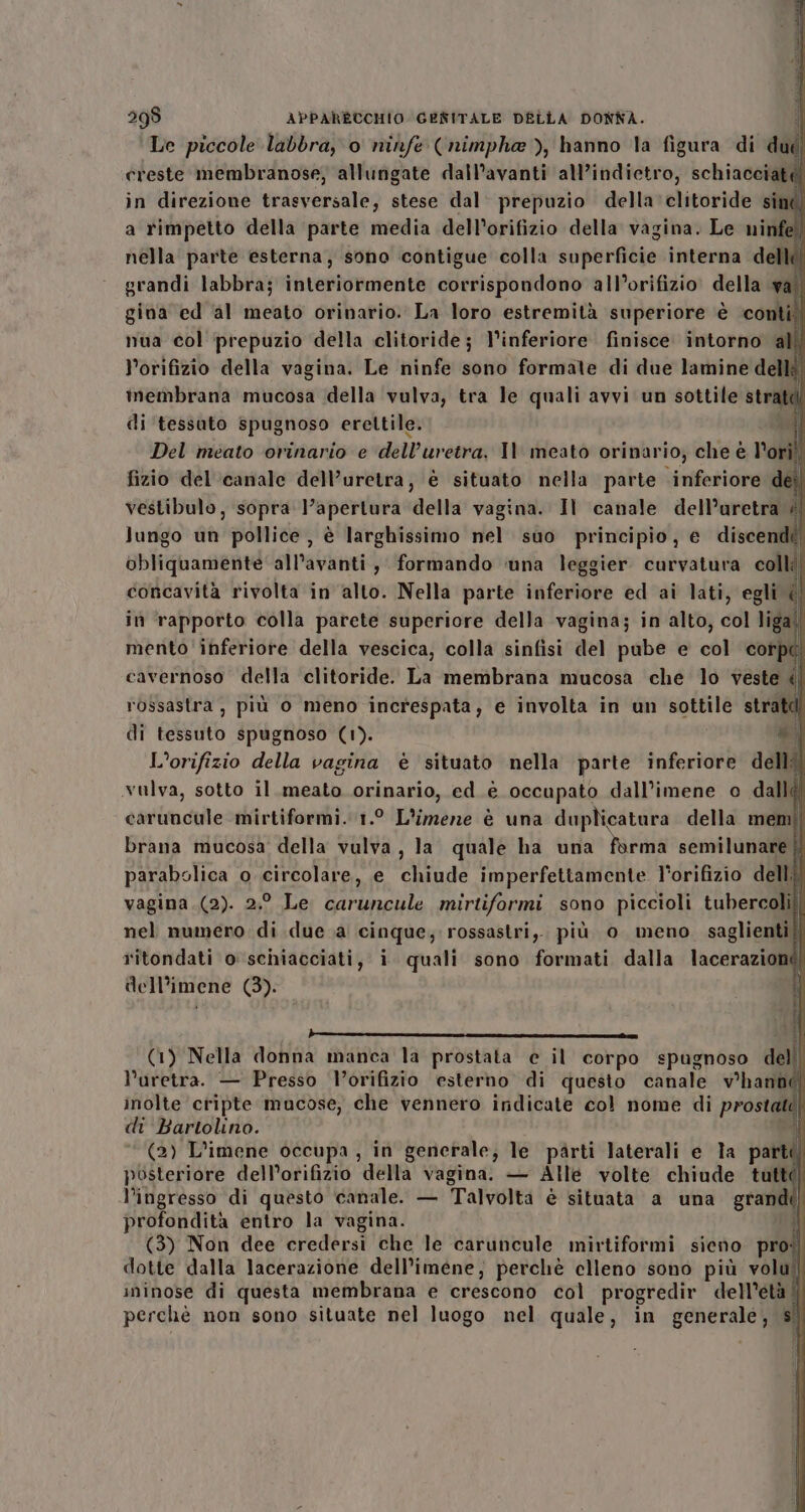 Le piccole labbra, o ninfe (nimpha ), hanno la figura di dud| creste membranose, allungate dall’avanti all’indietro, schiacciaté! in direzione trasversale, stese dal prepuzio della'clitoride sint! a rimpetto della parte media dell’orifizio della vagina. Le ninfel! nella parte esterna, sono contigue colla superficie interna dellé grandi labbra; interiormente corrispondono all’orifizio. della val gina ed al meato orinario. La loro estremità superiore è conti nua col prepuzio della clitoride; l’inferiore. finisce intorno al! l’orifizio della vagina. Le ninfe sono formale di due lamine dellé. membrana mucosa della vulva, tra le quali avvi un sottile stratdf di ‘tessato spugnoso erettile. i Del meato orinario e dell’uretra. Il meato orinario; che è lori! fizio del canale dell’uretra, è situato nella parte inferiore del vestibulo, sopra l'apertura della vagina. Il canale dell’aretra #| lungo un pollice, è larghissimo nel suo principio, e discendi, obliquamente all’avanti , formando ‘una leggier curvatura colli corcavità rivolta in alto. Nella parte inferiore ed ai lati, egli &lt;| in ‘rapporto colla parete superiore della vagina; in alto, col liga! mento inferiore della vescica, colla sinfisi del pube e col corpd cavernoso della clitoride. La membrana mucosa che lo veste «| rossastra , più o meno increspata, e involta in un sottile stratdi di tessuto spugnoso (1). *| L’orifizio della vagina è situato nella parte inferiore delli vulva, sotto il.meato orinario, ed è occupato dall’imene o dall caruncule mirtiformi. 1.° L'imene è una duplicatura della memi! brana mucosa della vulva, la quale ha una forma semilunare | parabolica o circolare, e chiude imperfettamente l'orifizio delli vagina (2). 2.° Le caruncule mirtiformi sono piccioli tubercoli] nel numero di due a cinque, rossastri,. più 0 meno saglienti! ritondati o schiacciati, i quali sono formati dalla lacerazione) dell’imene (3). -P——————_——_—__—_—_——_——————_—_È6—__———————tm_m————_———_————_s (1) Nella donna manca la prostata e il corpo spugnoso del l’uretra. — Presso l’orifizio esterno di questo canale vhanno inolte cripte mucose, che vennero indicate col nome di prostaté| di Bartolino. Al (2) L’imene occupa, in generale; le parti laterali e la parti posteriore dell’orifizio della vagina. — Alle volte chiude tuttà l'ingresso di questo ‘canale. — Talvolta è situata a una grandi profondità entro la vagina. i (3) Non dee credersi che le caruncule mirtiformi sieno pro dotte dalla lacerazione dell’iméne; perchè clleno sono più volul ininose di questa membrana e crescono col progredir dell’età |} perchè non sono situate nel luogo nel quale, in generale, sì }