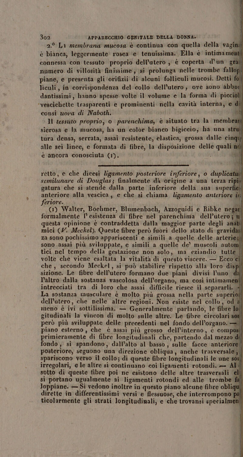 GR LIS 302 APPARECCHIO GENITALE DELLA DONNA» i 2.° La membrana mucosa è continua con quella della vagini è bianca; leggermente rosea ‘e’ tenuissima. Ella è intimament connessa con tessuto proprio dell'utero ,' è coperta d’un grati) numero. di villosità finissime , (si prolunga nelle trombe fallop! piane, e presenta gli ‘orifizii di alcuni folliculi mucosi. Detti fol liculi, in corrispondenza del collo dell'utero; ove sono abbor, dantissimi, hanno spesse volte il volume e la forma di piccioli ‘vescichette ‘trasparenti e prominenti nella cavità interna, e di consì vera di Naboth. | i È Il tessuto proprio, o parenchima; è situato tra la. membrati sierosa e la mucosa, ha un colòr bianco bigiceio, ha una struîl tura densa, serrata, assai resistente, elastica, grossa dalle cinqu alle sei linee, e formata di fibre, la disposizione delle quali n di e ancora conosciuta (1). Ù i LL, retto, e che dicesi ligamento posteriore inferiore, o duplicatu semilunare di Douglas; finalmente dà ‘origine a una terza ripidi gatura che si stende dalla parte inferiore della sua superfici anteriore alla vescica, e che si chiama ligamento anicriore it feriore. Lf (1) Walter, Boehmer, Blumenbach, Azzoguidi e Ribke negar] formalmente l° esistenza di fibre nel parenchima dell’utero ; wi uesta opinione è contraddetta dalla maggior parte degli anati mici (V. Meckel). Queste fibre però fuori dello stato di. gravidar za sono pochissimo appariscenti e simili a quelle delle arteriegî sono assai più sviluppate, e simili a quelle de’? muscoli automi! tici nel tempo della gestazione non solo, ma eziandio tutte volte che viene esaltata la vitalità di questo viscere. — Ecco cîl che, secondo Meckel, si può stabilire rispetto alla loro dispi sizione. Le fibre dell'utero formano due piani divisi l'uno dal l’altro dalla sostanza vascolosa dell'organo, ma così intimament intrecciati tra di loro che assai difficile riesce il separarli. La sostanza musculare è molto più grossa nella parte superiol dell’utero, che nelle altre regioni. Non esiste nel collo, od n meno -è ivi sottilissima. — Generalmente parlando, le fibre lot gitudinali la vincon di molto sulle altre. Le fibre circolari sor però più sviluppate delle precedenti nel fondo dell’organo. — | piano esterno , che © assai più grosso dell’interno, è compasti primieramente di fibre longitudinali che, partendo dal mezzo di! fondo, si spandono, dall’alto al basso, sulle facce anteriore! posteriore, seguono una direzione obliqua, anche trasversale ;|| spariscono verso il collo; di queste fibre longitudinali le une sor] irregolari, e le altre si continuano coi ligamenti rotondi. — AV il sotto di queste fibre poi ne esistono delle altre trasversali cli) si portano ugualmente ai ligamenti rotondi ed alle trombe fa) Joppiane. — Si vedono inoltre in questo piano alcune fibre obliqu | dirette in differentissimi versi e flessuose, che interrompono pai ticolarmente gli strati longitudinali, e che trovansi specialmeni| Ul | Il Ù