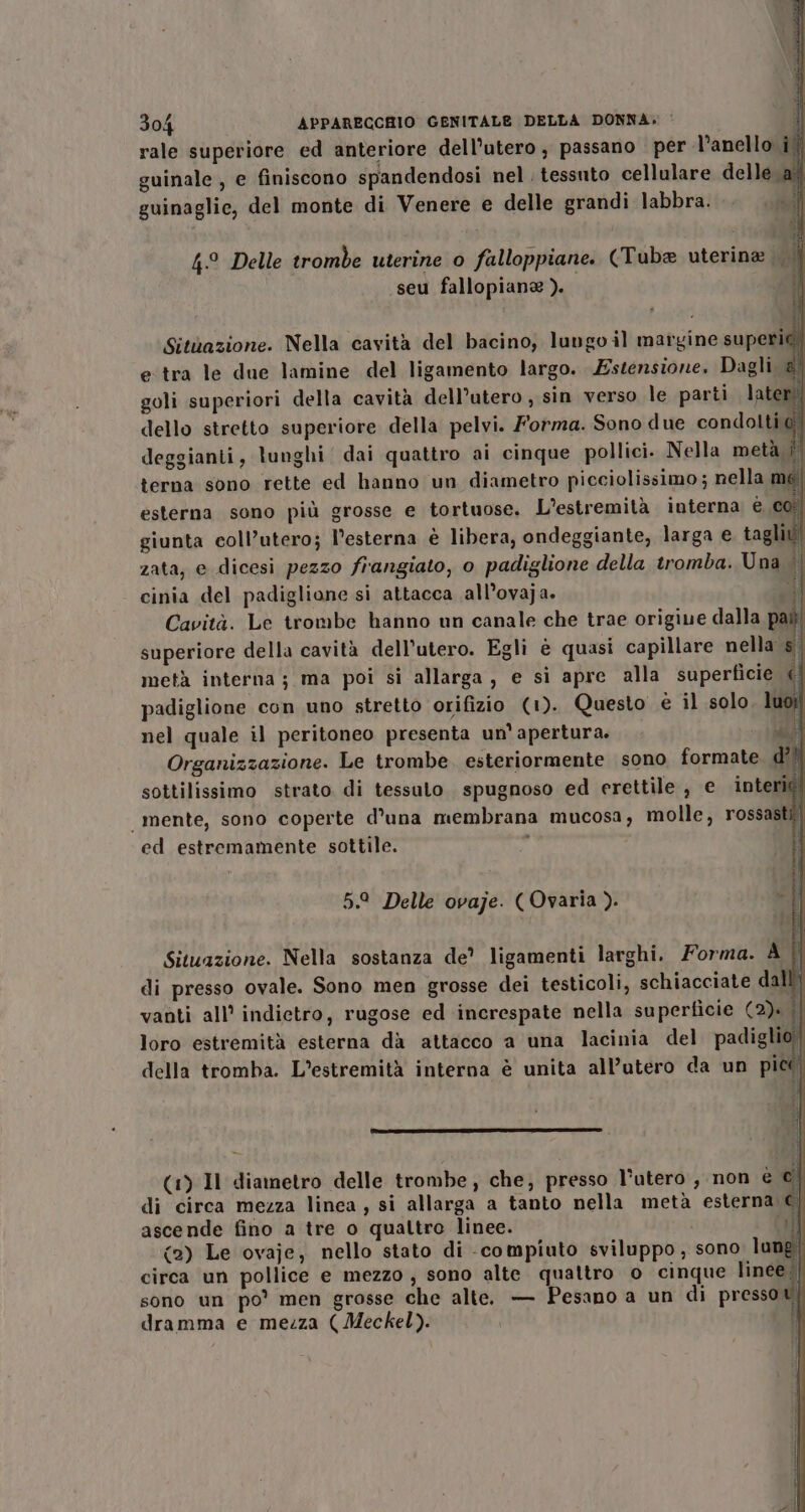 rale superiore ed anteriore dell'utero; passano per l’anello il guinale , e finiscono spandendosi nel . tessuto cellulare delle av guinaglie, del monte di Venere e delle grandi labbra... n “0 4° Delle trombe uterine o falloppiane. (Tuba uterine sE seu fallopiana ). | goli superiori della cavità dell’utero , sin verso le parti later dello stretto superiore della pelvi. Forma. Sono due condolti 0) deggianti, lunghi dai quattro ai cinque pollici. Nella metà | terna sono rette ed hanno un diametro picciolissimo; nella me | esterna sono più grosse e tortuose. L'’estremità interna è co. giunta coll’utero; l’esterna è libera, ondeggiante, larga e tagli! zata, e dicesi pezzo fiangiato, o padiglione della tromba. Una i - cinia del padiglione si attacca all’ovaja. AI Cavità. Le trombe hanno un canale che trae origiue dalla pat superiore della cavità dell'utero. Egli è quasi capillare nella s| metà interna; ma poi si allarga, e sì apre alla superficie ( padiglione con uno stretto orifizio (1). Questo è il solo luo nel quale il peritoneo presenta un'apertura. - (BR Organizzazione. Le trombe. esteriormente sono formate. d?! sottilissimo strato di tessuto spugnoso ed erettile, e interigi mente, sono coperte d'una membrana mucosa, molle, rossasti ed estremamente sottile. | hi 5.° Delle ovaje. ( Ovaria ). » | Ì Situazione. Nella sostanza de? ligamenti larghi. Forma. À Î di presso ovale. Sono men grosse dei testicoli, schiacciate dall vanti all’ indietro, rugose ed increspate nella superficie (2). il loro estremità esterna dà attacco a una lacinia del padiglio della tromba. L’estremità interna è unita all’utero da un pico DE eo —_——P r@&gt;gcgGnnnziiniusi (1) Il diametro delle trombe, che, presso l'utero , non è © di circa mezza linea, si allarga a tanto nella metà esterna €) ascende fino a tre o quattro linee. | cati (2) Le ovaje, nello stato di - compiuto sviluppo, sono lung circa un pollice e mezzo , sono alte. qualtro o cinque linee. sono un po’ men grosse che alte. — Pesano a un di presso ti dramma e mezza (Meckel). |