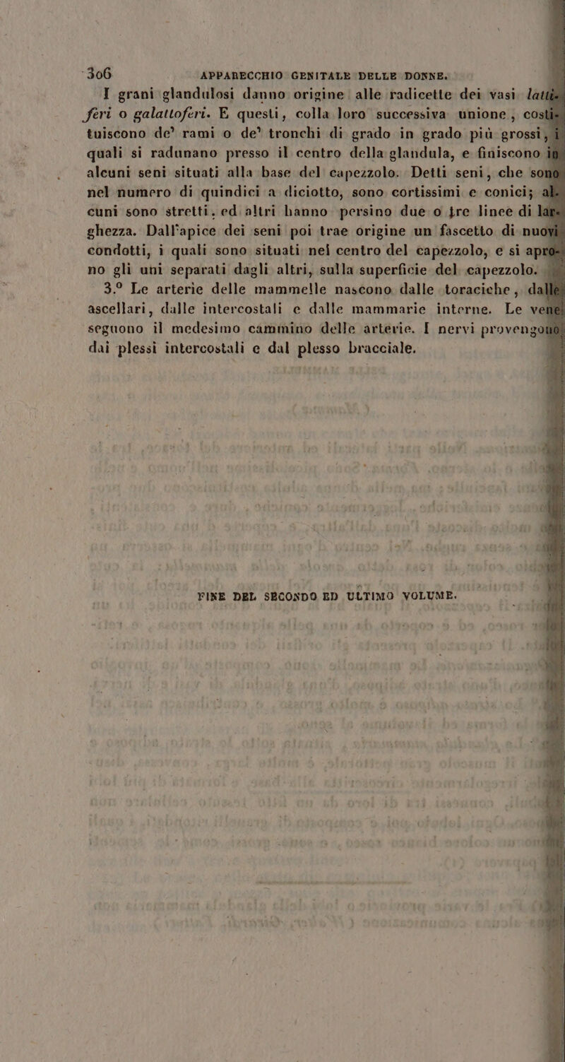 I grani glandulosi danno origine. alle radicette dei vasi. atti feri 0 galattoferi. E questi, colla loro successiva unione, così tuiscono de’ rami o de’ tronchi di grado in grado più grossi; quali si radunano presso il centro della glandula, e finiscono i alcuni seni situati alla base del capezzolo. Detti seni, che son nel numero di quindici a diciotto, sono cortissimi e conici; a cuni sono stretti. ed. altri hanno persino due o tre linee di lai ghezza. Dall'apice dei seni poi trae origine un fascetto di. nuoy condotti, i quali sono situati nei centro del capezzolo, e si apr no gli uni separati dagli altri, sulla superficie del. capezzolo. 3.° Le arterie delle mammelle nascono. dalle .toraciche ,. dall ascellari, dalle intercostali e dalle mammarie interne. Le vene seguono il medesimo cammino delle arterie. I nervi provengoti dai plessi intercostali e dal plesso bracciale. | v à Lul YFINE DEL SECONDO ED ULTIMO VOLUME.