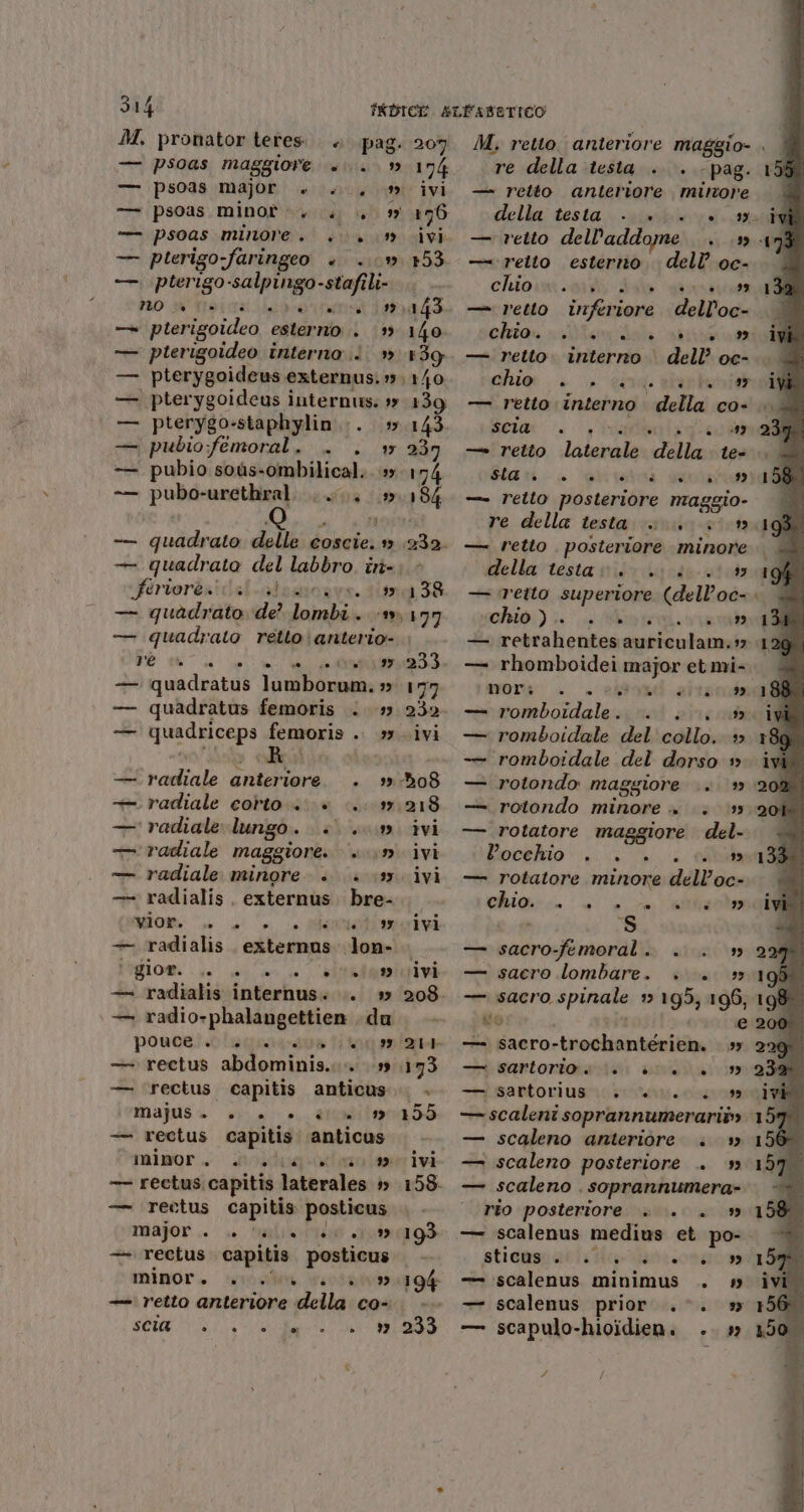 M, pronator teres.. +. pag. psoas maggiore +...» psoas major » .., psoas minor... psoas minore... — pierigo;faringeo + — pterigo-salpingo- -stafî Li- no ” pterigoideo esterno. ‘(3 pterigoideo interno i» | pterygoideus externus.» pterygoideus internus: sy pterygo-staphylin... » — pubio:femoral. . . + -— pubio soùs-ombilical.. 5 -—— pubo-urethral. ..... » — ft nn n °°. e.) è 0 0. Casini ii _ ——— = — quadrato del labbro. îri- (feriorenicalcatsa D) — quadrato de? inialii 207 174 ivi 176 ivi 153 143 140 +39 ) 1/0 139 'é do è ® ° no ” — quadratus lumborum. » quadratus femoris .. 5 und cena femore 1 n radiale abi Î radiale corto «è radiale lungo . ai hA4 r4.4 radiale maggiore. pr, radiale minore... ‘3 radialis , externus bre- vior. .. . A soi ar — radialis externus don- legioni Li. ul sinafao — radialis internus. .. » _ radio-phalangettien du ponoe?so Liagrara rato Tita —reetus abdominis.;» — rectus capitis anticus majus. . ”» — rectus capitis. anticus minor. ostato lia — rectus.capitis laterales » — rectus capitis posticus Major... a malo ata —. rectus capitis Aaa minor. ‘satin ». — retto anteriore della co- (757 Ba PARLO » . bd e . ivi 193 23 3 M,; retto. anteriore maggio. | re della testa . . - pag. — retto anteriore delazgiia della testa. sinbleraicse — retto dell'addome i — reito esterno. dell’ 0c- et RETTE SIGIE PTT svi — retto inferiore dell'oc- chia ade ial ” — retto. interno dell’ oc- Chio (è 1» di {a ta 19P — retto interno della co- Bela: ©. fui PROP. — retto lidginiià della te- eferica Gattatsi vana —- retto posteriore maggio- re della testa 00200 — retto , posteriore minore della testa uv. +... 1 19 — metto superiore (dell’oc- È chio)... ona. 193 — retrahentes et ae — rbhomboidei major etmi- mort. . bt afrzonda — romboidale.. &lt;&lt;... — romboidale del collo. + romboidale del dorso + rotondo maggiore .. (30. —. rotondo minore +»; ‘5 rotatore maggiore del- Pocehio . . . . » — rotatore minore uil 60» chio. . ” —_— — S — sacro-femoral. ... — sacro lombare. . . — sacro spinale 13 195, 196, 4a —. $aACro- -tncolismtsnita — sartorio è è 00. + — sartorius 0 0.099 — scaleni soprannumerarii» — scaleno anteriore . + — scaleno posteriore .. — scaleno . soprannumera- rio posteriore at Cr — scalenus medius et po- sticumenetisiicpiQb cos a019 — iscalenus minimus .. — scalenus prior... — scapulo-hioidien. . 199 PA