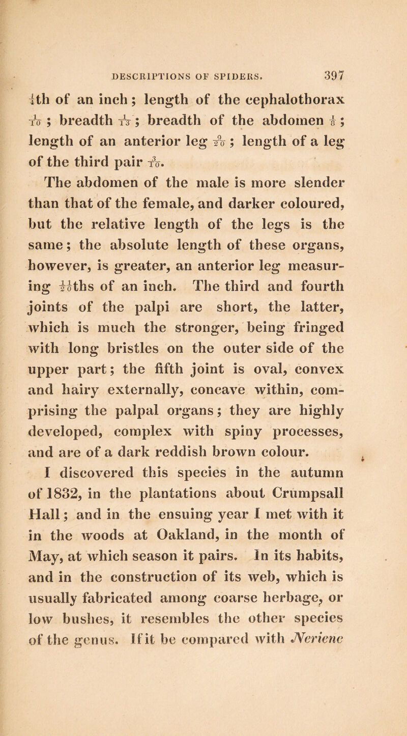 ith of an inch; length of the cephalothorax TO ; breadth tV ; breadth of the abdomen i; length of an anterior leg 2%; length of a leg of the third pair tV. The abdomen of the male is more slender I than that of the female, and darker coloured, but the relative length of the legs is the same; the absolute length of these organs, however, is greater, an anterior leg measur- ing iiths of an inch. The third and fourth joints of the palpi are short, the latter, which is much the stronger, being fringed with long bristles on the outer side of the upper part; the fifth joint is oval, convex and hairy externally, concave within, com- prising the palpal organs; they are highly developed, complex with spiny processes, and are of a dark reddish brown colour. I discovered this species in the autumn of 1832, in the plantations about Crumpsall Hall; and in the ensuing year I met with it in the woods at Oakland, in the month of May, at which season it pairs. In its habits, and in the construction of its web, which is usually fabricated among coarse herbage, or low bushes, it resembles the other species of the genus. If it be compared with JVerienc