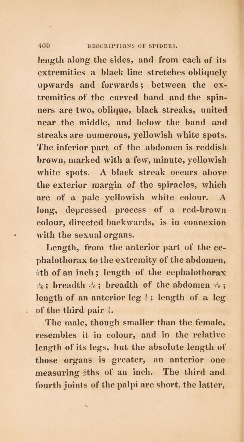 length along the sides, and from each of its extremities a black line stretches obliquely upwards and forwards; between the ex- tremities of the curved band and the spin- ners are two, oblique, black streaks, united near the middle, and below the band and streaks are numerous, yellowish white spots. The inferior part of the abdomen is reddish brown, marked with a few, minute, yellowish white spots. A black streak occurs above the exterior margin of the spiracles, which are of a pale yellowish white colour. A long, depressed process of a red-brown colour, directed backwards, is in connexion with the sexual organs. Length, from the anterior part of the ce- phalothorax to the extremity of the abdomen, Jth of an inch; length of the cephalothorax A; breadth sV; breadth of the abdomen tV ; length of an anterior leg i; length of a leg of the third pair h The male, though smaller than the female, resembles it in colour, and in the relative length of its legs, but the absolute length of those organs is greater, an anterior one measuring fths of an inch. The third and fourth joints of the palpi are short, the latter.