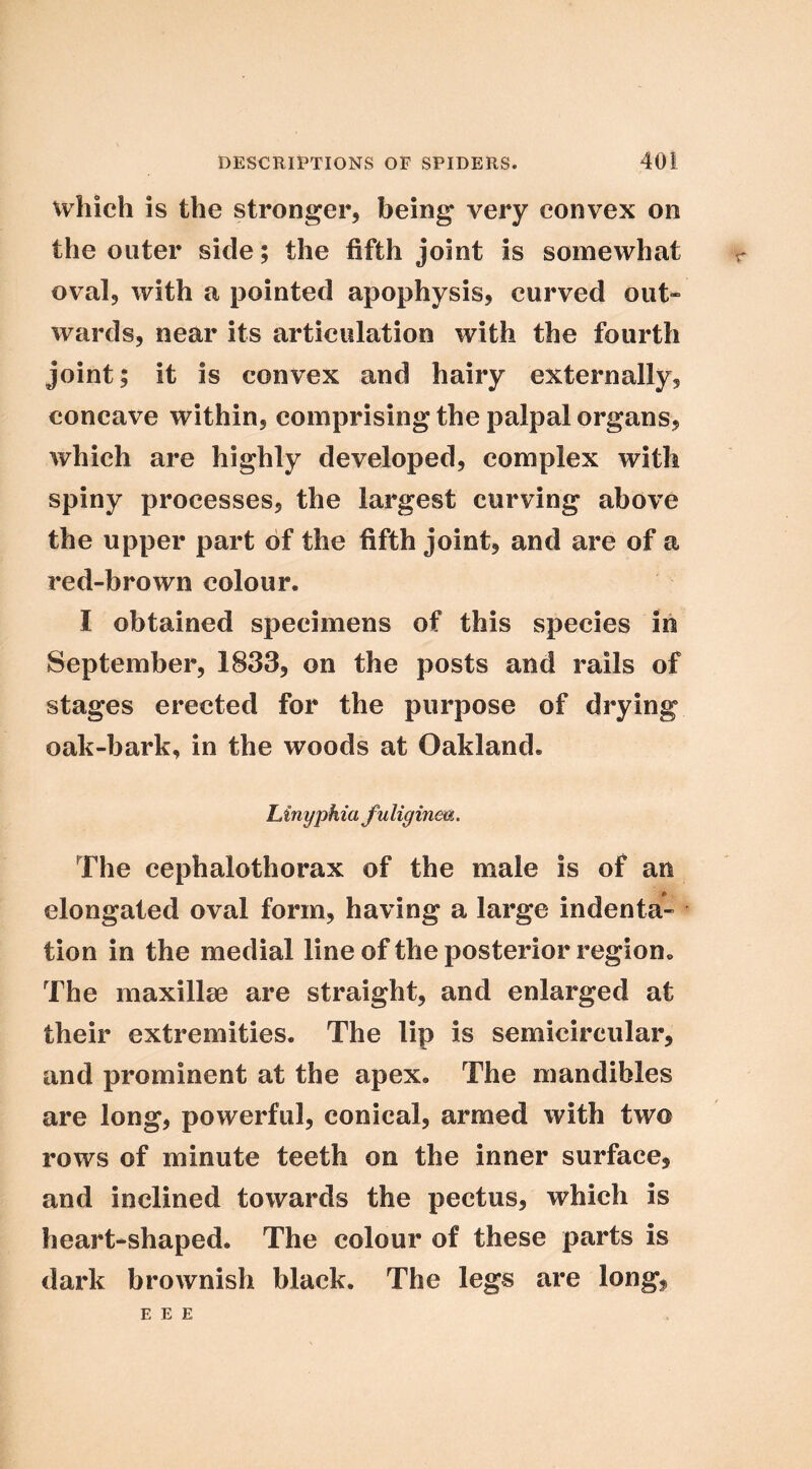which is the stronger, being very convex on the outer side; the fifth joint is somewhat oval, with a pointed apophysis, curved out- wards, near its articulation with the fourth joint; it is convex and hairy externally, concave within, comprising the palpal organs, which are highly developed, complex with spiny processes, the largest curving above the upper part of the fifth joint, and are of a red-brown colour. I obtained specimens of this species in September, 1833, on the posts and rails of stages erected for the purpose of drying oak-bark, in the woods at Oakland. Linyphia fuliginm. The cephalothorax of the male is of an elongated oval form, having a large indenta- tion in the medial line of the posterior region. The maxillae are straight, and enlarged at their extremities. The lip is semicircular, and prominent at the apex. The mandibles are long, powerful, conical, armed with two rows of minute teeth on the inner surface, and inclined towards the pectus, which is heart-shaped. The colour of these parts is dark brownish black. The legs are long, E E E