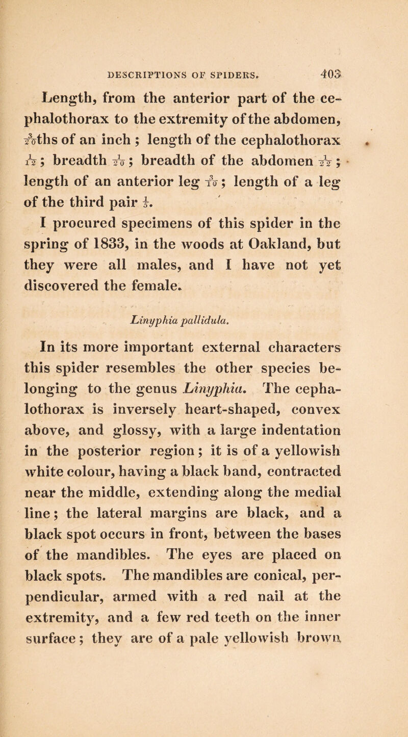Length, from the anterior part of the ce~ phalothorax to the extremity of the abdomen, Aths of an inch ; length of the cephalothorax h; breadth A; breadth of the abdomen -is ; length of an anterior leg A; length of a leg of the third pair h I procured specimens of this spider in the spring of 1833, in the woods at Oakland, but they were all males, and I have not yet discovered the female* Linyphia pallidula. In its more important external characters this spider resembles the other species be- longing to the genus Linyphia. The cepha- lothorax is inversely heart-shaped, convex above, and glossy, with a large indentation in the posterior region; it is of a yellowish white colour, having a black band, contracted near the middle, extending along the medial line; the lateral margins are black, and a black spot occurs in front, between the bases of the mandibles. The eyes are placed on black spots. The mandibles are conical, per- pendicular, armed with a red nail at the extremity, and a few red teeth on the inner surface; they are of a pale yellowish brown