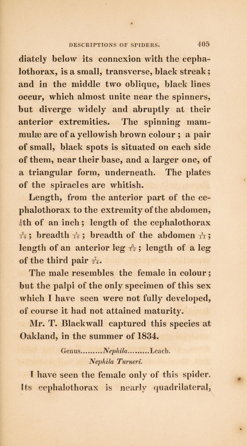 diately below its connexion with the cepha- lothorax, is a small, transverse, black streak; and in the middle two oblique, black lines occur, which almost unite near the spinners, but diverge widely and abruptly at their anterior extremities. The spinning mam- mulse are of a yellowish brown colour ; a pair of small, black spots is situated on each side of them, near their base, and a larger one, of a triangular form, underneath. The plates of the spiracles are whitish. Length, from the anterior part of the ce- phalothorax to the extremity of the abdomen, ith of an inch; length of the cephalothorax TT; breadth fs; breadth of the abdomen it ; length of an anterior leg A; length of a leg of the third pair /t. The male resembles the female in colour; but the palpi of the only specimen of this sex which I have seen were not fully developed, of course it had not attained maturity. Mr. T. Black wall captured this species at Oakland, in the summer of 1834. Genus Nephila Leach. Nephila TurnerL I have seen the female only of this spider. Its cephalothorax is nearly quadrilateral,