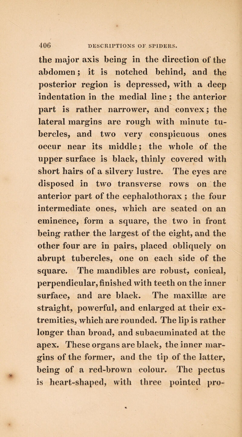 the major axis being in the direction of the abdomen; it is notched behind, and the posterior region is depressed, with a deep indentation in the medial line; the anterior part is rather narrower, and convex; the lateral margins are rough with minute tu- bercles, and two very conspicuous ones occur near its middle; the whole of the upper surface is black, thinly covered with short hairs of a silvery lustre. The eyes are disposed in two transverse rows on the anterior part of the cephalothorax ; the four intermediate ones, which are seated on an eminence, form a square, the two in front being rather the largest of the eight, and the other four are in pairs, placed obliquely on abrupt tubercles, one on each side of the square. The mandibles are robust, conical, perpendicular, finished with teeth on the inner surface, and are black. The maxillae are straight, powerful, and enlarged at their ex- tremities, which are rounded. The lip is rather longer than broad, and subacuminated at the apex. These organs are black, the inner mar- gins of the former, and the tip of the latter, being of a red-brown colour. The pectus is heart-shaped, with three pointed pro-