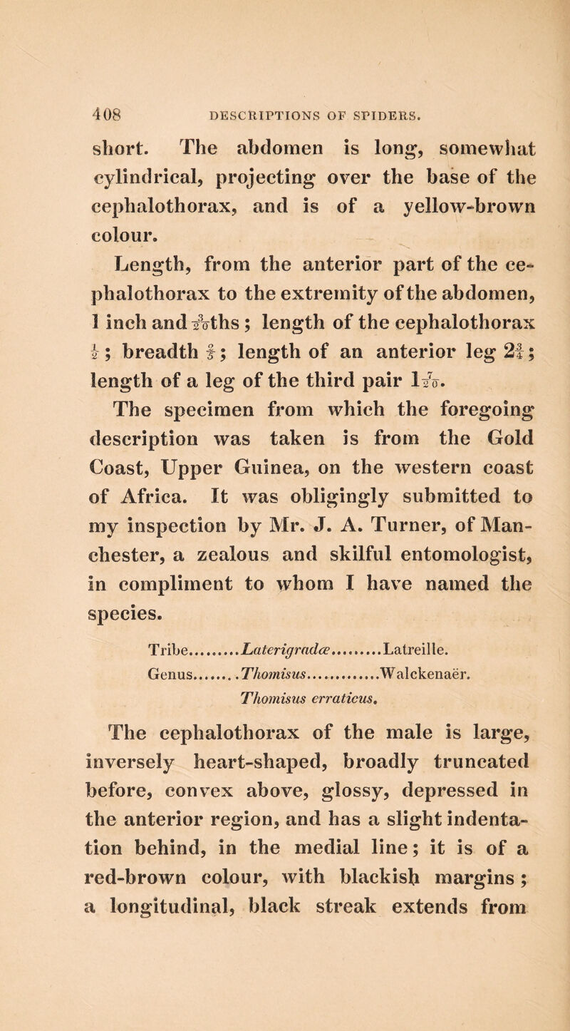 short. The abdomen is long, somewhat cylindrical, projecting over the base of the cephalothorax, and is of a yellow-brown colour. Length, from the anterior part of the ce» phalothorax to the extremity of the abdomen, 1 inch and Aths; length of the cephalothorax i; breadth f; length of an anterior leg2i; length of a leg of the third pair l/o. The specimen from which the foregoing description was taken is from the Gold Coast, Upper Guinea, on the western coast of Africa. It was obligingly submitted to my inspection by Mr. J. A. Turner, of Man- chester, a zealous and skilful entomologist, in compliment to whom I have named the species. Tribe Laterigradce Latreille. Genus Tliomisus Walckenaer. Thomisus erraticm. The cephalothorax of the male is large, inversely heart-shaped, broadly truncated before, convex above, glossy, depressed in the anterior region, and has a slight indenta- tion behind, in the medial line; it is of a red-brown colour, with blackish margins; a longitudinal, black streak extends from