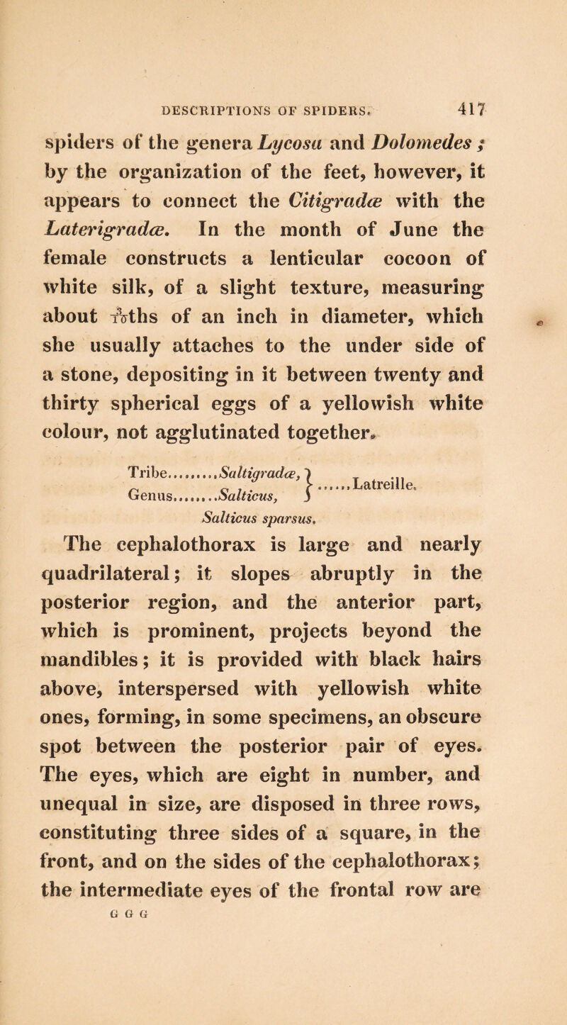 spiders of the Lyeosa and Dolomedes ; by the organization of the feet, however, it appears to connect the Citigradce with the LaterigradcB, In the month of June the female constructs a lenticular cocoon of white silk, of a slight texture, measuring about Aths of an inch in diameter, which she usually attaches to the under side of a stone, depositing in it between twenty and thirty spherical eggs of a yellowish white colour, not agglutinated together^ Tribe. Genus Saltigradce Salticus, Salticus spnrsus. Latreille, The cephalothorax is large and nearly quadrilateral; it slopes abruptly in the posterior region, and the anterior part, which is prominent, projects beyond the mandibles; it is provided with black hairs above, interspersed with yellowish white ones, forming, in some specimens, an obscure spot between the posterior pair of eyes. The eyes, which are eight in number, and unequal in size, are disposed in three rows, constituting three sides of a square, in the front, and on the sides of the cephalothorax; the intermediate eyes of the frontal row are G G G e