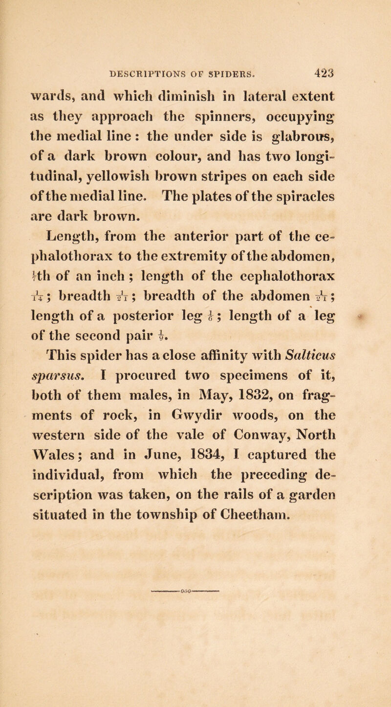 wards, and which diminish in lateral extent as they approach the spinners, occupying the medial line : the under side is glabroirs, of a dark brown colour, and has two longi- tudinal, yellowish brown stripes on each side of the medial line. The plates of the spiracles are dark brown. Length, from the anterior part of the ce- phalothorax to the extremity of the abdomen, Hh of an inch ; length of the cephalothorax tV ; breadth ii; breadth of the abdomen A; length of a posterior leg h; length of a leg of the second pair i. This spider has a close affinity with Salticus sjmrsus, I procured two specimens of it, both of them males, in May, 1832, on frag- ments of rock, in Gwydir woods, on the western side of the vale of Conway, North Wales; and in June, 1834, I captured the individual, from which the preceding de- scription was taken, on the rails of a garden situated in the township of Cheetham. 000^