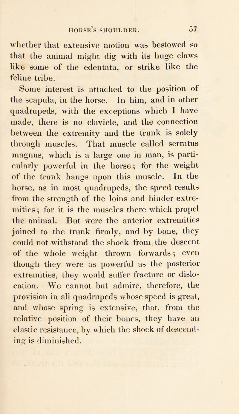 whether that extensive motion was bestowed so that the animal might dig with its huge claws like some of the edentata, or strike like the feline tribe. Some interest is attached to the position of the scapula, in the horse. In him, and in other quadrupeds, with the exceptions which I have made, there is no clavicle, and the connection between the extremity and the trunk is solely through muscles. That muscle called serratus magnus, which is a large one in man, is parti- cularly powerful in the horse; for the weight of the trunk hangs upon this muscle. In the horse, as in most quadrupeds, the speed results from the strength of the loins and hinder extre- mities ; for it is the muscles there which propel the animal. But were the anterior extremities joined to the trunk firmly, and by bone, they could not withstand the shock from the descent of the whole weight thrown forwards; even though they were as powerful as the posterior extremities, they would suffer fracture or dislo- cation. We cannot but admire, therefore, the provision in all quadrupeds whose speed is great, and whose spring is extensive, that, from the relative position of their bones, they have an elastic resistance, bv which the shock of descend- ing is diminished.