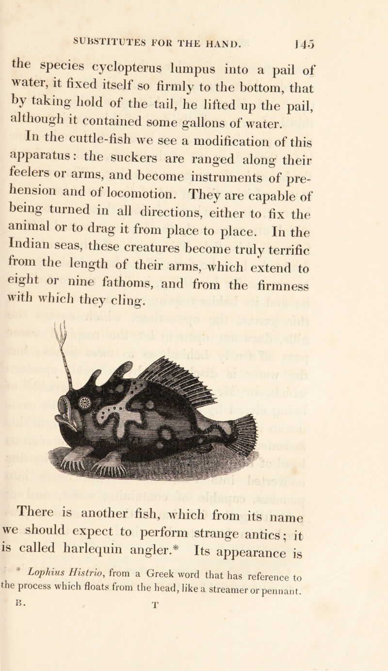 the sPecies cyclopterus lumpus into a pail of water, it fixed itself so firmly to the bottom, that by taking hold of the tail, he lifted up the pail, although it contained some gallons of water. In the cuttle-fish we see a modification of this apparatus: the suckers are ranged along their feeleis or arms, and become instruments of pre- hension and of locomotion. They are capable of being turned in all directions, either to fix the animal or to drag it from place to place. In the Indian seas, these creatures become truly terrific from the length of their arms, which extend to eight or nine fathoms, and from the firmness with which they cling. There is another fish, which from its name we should expect to perform strange antics; it is called harlequin angler.* Its appearance is Lophius Histrio, from a Greek word that has reference to the process which floats from the head, like a streamer or pennant. B. T