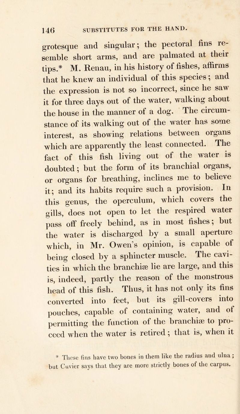 grotesque and singular; the pectoral fins re- semble short arms, and are palmated at their tips.* M. Renan, in his history of fishes, affirms that he knew an individual of this species; and the expression is not so incorrect, since he saw it for three days out of the water, walking about the house in the manner of a dog. The circum- stance of its walking out of the water has some interest, as showing relations between organs which are apparently the least connected. The fact of this fish living out of the water is doubted; but the form of its branchial organs, or organs for breathing, inclines me to believe it; and its habits require such a provision. In this genus, the opercidum, which covers the gills, does not open to let the respired water pass off freely behind, as in most fishes; but the water is discharged by a small aperture which, in Mr. Owen’s opinion, is capable of being closed by a sphincter muscle. The cavi- ties in which the branchiae lie are large, and this is, indeed, partly the reason of the monstrous head of this fish. Thus, it has not only its fins converted into feet, but its gill-covers into pouches, capable of containing water, and of permitting the function of the branchiae to pro- ceed when the water is retired; that is, when it * These fins have two bones in them like the radius and ulna ; but Cuvier says that they are more strictly bones of the carpus.