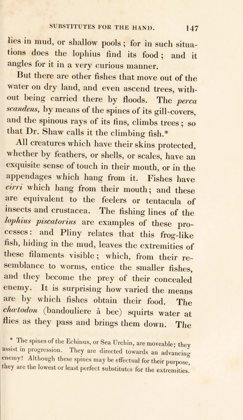 lies in mud, or shallow pools; for in such situa- tions does the lophius find its food; and it angles for it in a very curious manner. But there are other fishes that move out of the water on dry land, and even ascend trees, with- out being carried there by floods. The perca scandens, by means of the spines of its gill-covers, and the spinous rays of its fins, climbs trees; so that Dr. Shaw calls it the climbing fish.* All creatures which have their skins protected, whether by feathers, or shells, or scales, have an exquisite sense of touch in their mouth, or in the appendages which hang from it. Fishes have cirri which hang from their mouth; and these are equivalent to the feelers or tentacula of insects and Crustacea. The fishing lines of the lophius piscatorius are examples of these pro- cesses: and Pliny relates that this frog-like fish, hiding in the mud, leaves the extremities of these filaments visible; which, from their re- semblance to worms, entice the smaller fishes, and they become the prey of their concealed enemy. It is surprising how varied the means are by which fishes obtain their food. The chcetodon (bandouliere a bee) squirts water at flies as they pass and brings them down. The * The spines of the Echinus, or Sea Urchin, are moveable; they assist in progression. They are directed towards an advancing enemy! Although these spines may be effectual for their purpose, they are the lowest or least perfect substitutes for the extremities!