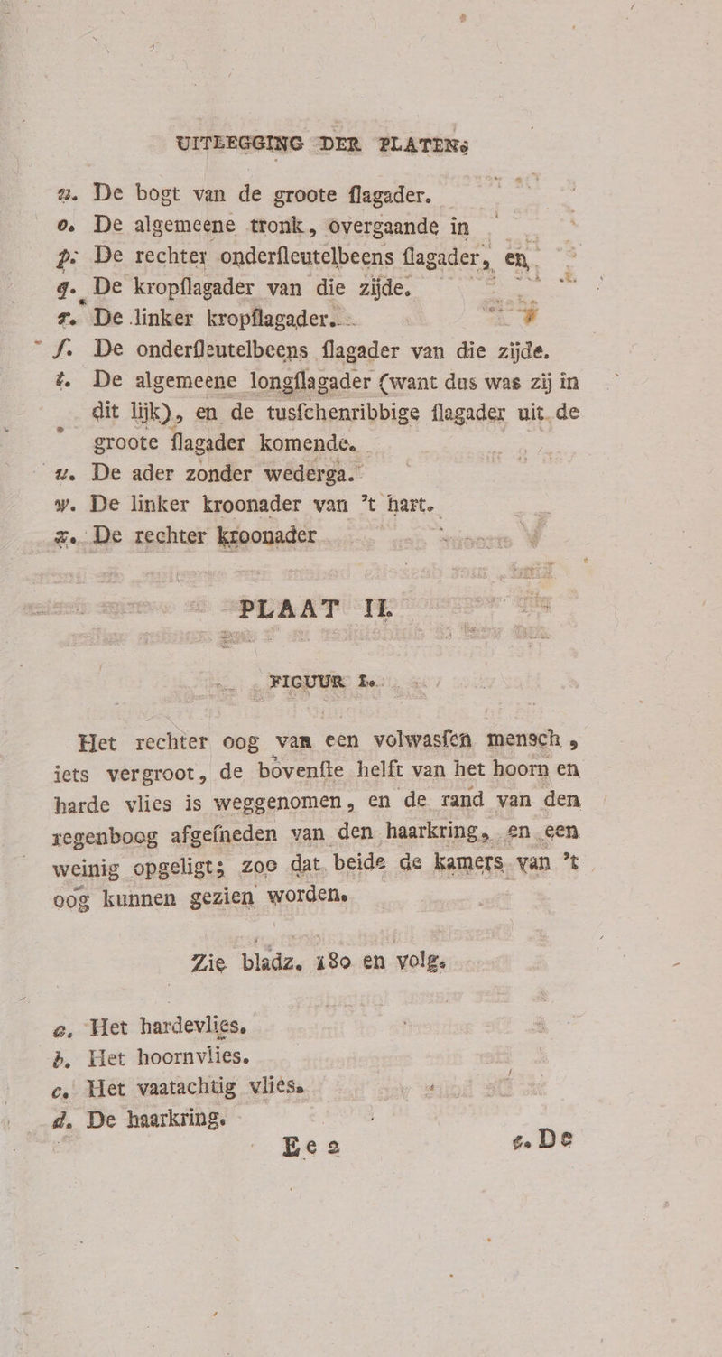 a. De bogt van de groote flagader. o. De algemeene tronk, overgaande in —— p; De rechter onderfleutelbeens flagader, eh. 4. De kropflagader van die zide. — ^ — 7. De linker kropílagader. 4A. f. De onderfleutelbeens flagader van die zijde, t. De algemeene longflagader (want dus was zij in dit lijk), en de tusfchenribbige flagader uit, de groote flagader komende. wv. De ader zonder wederga. w. De linker kroonader van 't hart. z. De rechter kroonader . | PERET IS .FIGUUR fe Het rechter oog vam een volwasfen mensch , iets vergroot, de bovenfte helft van het hoorn en harde vlies is weggenomen, en de rand van den regenboog afgefneden van den haarkring » £n een weinig opgeligt; zoo dat. beide de kamers, van oog kunnen gezien worden. Zie bladz. 180 en volg. e, Het hardevlies, b. Het hoornvlies, c, Het vaatachtig vlies. o d d. De haarkring. ioi ^ Ees e De