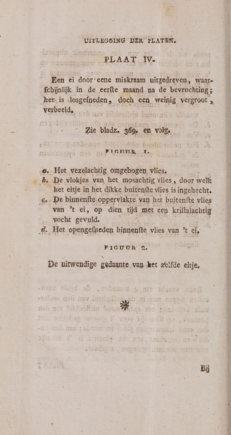 PLAAT IV. Een ei door’eene miskraam uitgedreven, waar- fchijnlijk in. de eerfte maand na de bevruchting; het is dosgefneden, doch een weinig vergroot y verbeeld, ^ Ze bladz, 369. en volg. | ricnma, x. x .€. Het vezelachtig ciun vlies, 5. De vlokjes van het mosachtig vlies, door well —. Tet eitje in het dikke buiten(te vlies is ingehecht, €». De binnenfte. oppervlakte. van het buitenfte vlies van ^t ei, op dien tijd met een kriftalachtig |... vocht gevuld. d. Het opengefneden binnenfte vlies van t. ci, FIGUUR 9. De uitwendige gedaante van ket zelfde eitje, bj