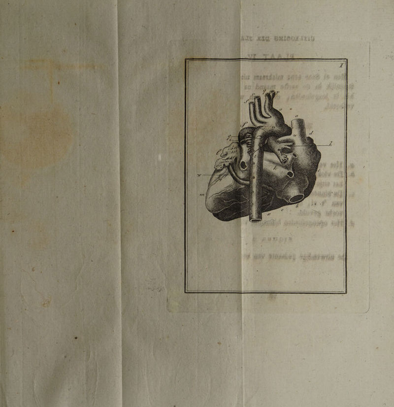 1 tet  SE i ] ] i t n ^