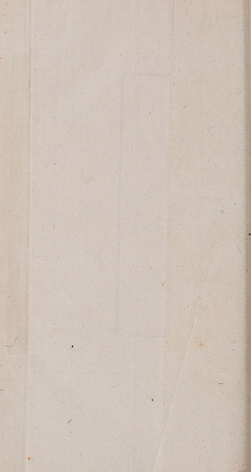 . » . s z X ^  —  « D l ,