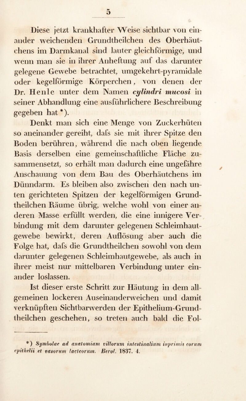 Diese jetzt krankhafter Weise sichtbar von ein- ander weichenden Grundtheilchen des Oberhäut- chens im Darmkanal sind lauter gleichförmige, und wenn man sie in ihrer Anheftung auf das darunter gelegene Gewebe betrachtet, umgekehrt-pyramidale oder kegelförmige Körperchen, von denen der Dr. He nie unter dem Namen cylindri rniicosi in seiner Abhandlung eine ausführlichere Beschreibung gegeben hat *). Denkt man sich eine Menge von Zuckerhüten so aneinander gereiht, dafs sie mit ihrer Spitze den Boden berühren, während die nach oben liegende Basis derselben eine gemeinschaftliche Fläche zu- sammensetzt, so erhält man dadurch eine ungefähre Anschauung von dem Bau des Oberhäutchens im Dünndarm. Es bleiben also zwischen den nach un- ten gerichteten Spitzen der kegelförmigen Grund- theilchen Piäume übrig, welche wohl von einer an- deren Masse erfüllt werden, die eine innigere Ver- bindung mit dem darunter gelegenen Schleimhaut- gewebe bewirkt, deren Auflösung aber auch die Folge hat, dafs die Grundtheilchen sowohl von dem darunter gelegenen Schleimhautgewebe, als auch in ihrer meist nur mittelbaren Verbindung unter ein- ander loslassen. Ist dieser erste Schritt zur Häutung in dem all- gemeinen lockeren Auseinanderweichen und damit verknüpften Sichtbarwerden der Epithelium-Grund- theilchen geschehen, so treten auch bald die Fol- * ) Sy7nholae ad analomiam villoruvi inteüinaliurn inprifnis eoruni epilhelii et vasorufn lacteorum, BeroL 1837. 4.