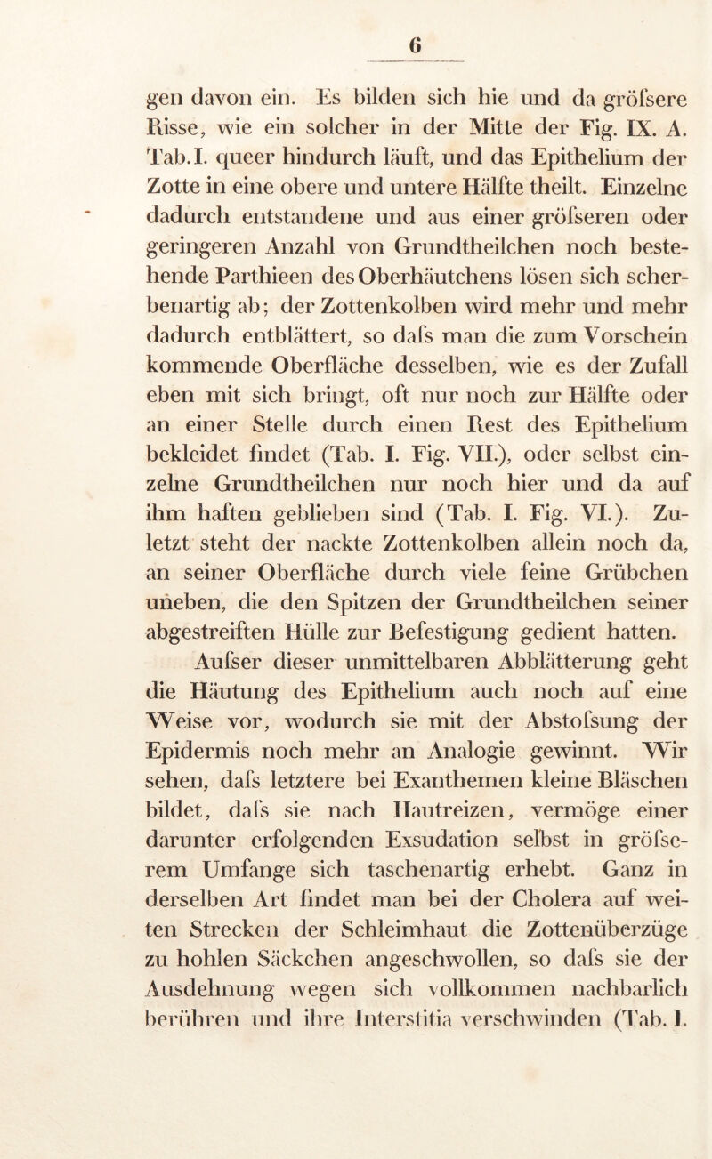 gen davon ein. Es bilden sich hie und da gröl'sere Pvisse, wie ein solcher in der Mitte der Fig. IX. A. Tab.I. queer hindurch läuft, und das Epithelium der Zotte in eine obere und untere Hälfte theilt. Einzelne dadurch entstandene und aus einer gröfseren oder geringeren Anzahl von Grundtheilchen noch beste- hende Parthieen des Oberhäutchens lösen sich scher- benartig ab; der Zottenkolben wird mehr und mehr dadurch entblättert, so dafs man die zum Vorschein kommende Oberfläche desselben, wie es der Zufall eben mit sich bringt, oft nur noch zur Hälfte oder an einer Stelle durch einen Rest des Epithelium bekleidet findet (Tab. I. Fig. VH.), oder selbst ein- zelne Grundtheilchen nur noch hier und da auf ihm haften geblieben sind (Tab. I. Fig. VI.). Zu- letzt steht der nackte Zottenkolben allein noch da, an seiner Oberfläche durch viele feine Grübchen uneben, die den Spitzen der Grundtheilchen seiner abgestreiften Hülle zur Befestigung gedient hatten. Aufser dieser unmittelbaren Abblätterung geht die Häutung des Epithelium auch noch auf eine Weise vor, wodurch sie mit der Abstofsung der Epidermis noch mehr an Analogie gewinnt. Wir sehen, dafs letztere bei Exanthemen kleine Bläschen bildet, dafs sie nach Hautreizen, vermöge einer darunter erfolgenden Exsudation selbst in gröfse- rem Umfange sich taschenartig erhebt. Ganz in derselben Art findet man bei der Cholera auf wei- ten Strecken der Schleimhaut die Zottenüberzüge zu hohlen Säckchen angeschwollen, so dafs sie der Ausdehnung wegen sich vollkommen nachbarlich berühren und ihre Interstitia verschwinden (Tab. I.