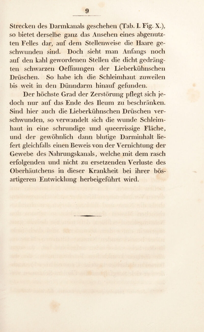 Strecken des Darmkanals geschehen (Tab. I. Fig. X.), so bietet derselbe ganz das Ansehen eines abgenutz- ten Felles dar, auf dem Stellenweise die Haare ge- schwunden sind. Doch sieht man Anfangs noch auf den kahl gewordenen Stellen die dicht gedräng- ten schwarzen Oeffnungen der Lieberkühnschen Dröschen. So habe ich die Schleimhaut zuweilen bis weit in den Dünndarm hinauf gefunden. Der höchste Grad der Zerstörung pflegt sich je- doch nur auf das Ende des Ileum zu beschränken. Sind hier auch die Lieberkühnschen Dröschen ver- schwunden, so verwandelt sich die wunde Schleim- haut in eine schrundige und queerrissige Fläche, und der gewöhnlich dann blutige Darminhalt lie- fert gleichfalls einen Beweis von der Vernichtung der Gewebe des Nahrungskanals, welche mit dem rasch erfolgenden und nicht zu ersetzenden Verluste des Oberhäutchens in dieser Krankheit bei ihrer bös- artigeren Entwicklung herbeigeführt wird.