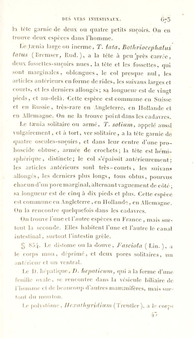 DES VERS INTESTINAUX. G'-O / la tète garnie (le deux ou quatre petits suçoirs. O11 en trouve deux espèces dans l’homme. Le tænia large ou inerme, T. tala, Bothriocephalus talus (Bremser, Rud.), a la tète à peu près carrée, deux fossettes-suçoirs nues, la tète et les fossettes, qui sont marginales, oblongues, le col presque nul, les articles antérieurs en forme de rides, les suivons larges et courts, et les derniers allongés; sa longueur est de vingt pieds, et au-delà. Cette espèce est commune en Suisse et en Russie, très-rare en Angleterre, en Hollande et en Allemagne. On ne la trouve point dans les cadavres. Le tænia solitaire ou armé, T. solium, appelé aussi vulgairement, et à tort, ver solitaire, a la tête garnie de quatre oscules-suçôirs, et dans leur centre d’une pro- boseide obtuse, armée de crochets; la tête est hémi¬ sphérique, distincte; le col s’épaissit antérieurement : les articles antérieurs sont très-courts, les suivons allongés, les derniers plus longs, tous obtus, pourvus chacun d’un pore marginal, alternant vaguement de côté - sa longueur est de cinq à dix pieds et plus. Cette espèce est commune en Angleterre, en Hollande, en Allemagne. On la rencontre quelquefois dans les cadavres. On trouve l'une et l’autre espèces en France , mais sur¬ tout la seconde. Files habitent l’une et l’autre le canal intestinal, surtout l’intestin grêle. § 854- Le dislome ou la douve, Fasciota ( Lin. ), a le corps mou, déprimé, et deux pores solitaires, un antérieur et un ventral. Le 1). hépatique. J), Iiejtaticum, qui a la forme d’une feuille ovale, se rencontre dans la vésicule biliaire de l'homme et de beaucoup d’autres mammifères, mais sur¬ tout du mou ton. Le pohstômc, //rxalhyridium (Trcliller), a Je corps 4â