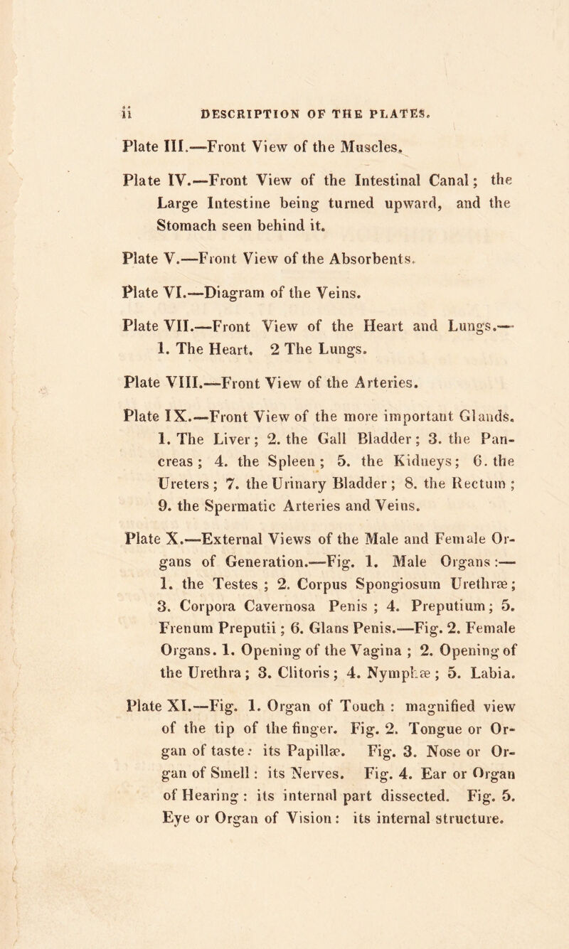 Plate III.—Front View of the Muscles, Plate IV.—Front View of the Intestinal Canal; the Large Intestine being turned upward, and the Stomach seen behind it. Plate V.—Front View of the Absorbents, Plate VI.—Diagram of the Veins. Plate VII.—Front View of the Heart and Lungs.— 1. The Heart, 2 The Lungs. Plate VIH.—Front View of the Arteries. Plate IX.—^Front View of the more important Glands. 1. The Liver; 2. the Gall Bladder; 3. the Pan- creas; 4. the Spleen; 5. the Kidneys; 6. the Ureters; 7. the Urinary Bladder; 8. the Rectum ; 9. the Spermatic Arteries and Veins. Plate X.—External Views of the Male and Female Or- gans of Generation.—Fig. 1. Male Organs ;— 1. the Testes ; 2. Corpus Spongiosum Urethrre; 3. Corpora Cavernosa Penis ; 4. Preputium; 5, Frenum Preputii; 6. Gians Penis.—Fig. 2. Female Oi gans. 1, Opening of the Vagina ; 2. Opening of the Urethra ; 3, Clitoris ; 4. Nymphae ; 5. Labia, Plate XL—Fig. 1. Organ of Touch : magnified view of the tip of the finger. Fig. 2. Tongue or Or- gan of taste: its Papillm. Fig, 3. Nose or Or- gan of Smell: its Nerves. Fig. 4. Ear or Organ of Hearing : its internal part dissected. Fig. 5. Eye or Organ of Vision: its internal structure.