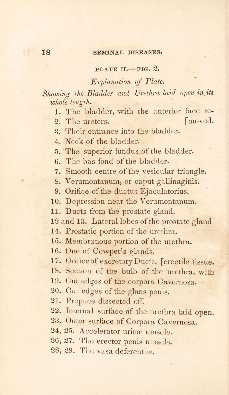 PLATE II. FIG. 2. Tlxplanation of Plate. Showing the Bladder and Urethra laid open in its whole length. 1. The bladder, with the anterior face re- 2. The ureters. [moved. 3. Their entrance into the bladder. 4. Neck of the bladder. 5. The superior fundus of the bladder. 6. The bas fond of the bladder. 7. Smooth centre of the vesicular triangle. 8. Verumontanum, or caput gallinaginis. 9. Orifice of the ductus Ejaculatorius. 10. Depression near the Verumontanum. 11. Ducts from the prostate gland. 12 and 13. Lateral lobes of the prostate gland 14. Prostatic portion of the urethra. 15. Membranous portion of the urethra. 16. One of Cowper’s glands. 17. Orifice of excretory Ducts, [erectile tissue. 18. Section of the bulb of the urethra, with 19. Cut edges of the corpora Cavernosa. 20. Cut edges of the glans penis. 21. Prepuce dissected off. 22. Internal surface of the urethra laid open. 23. Outer surface of Corpora Cavernosa. 24. 25. Accelerator urinae musuie. 26, 27. The erector penis muscle. 28, 29. The vasa deferentim.