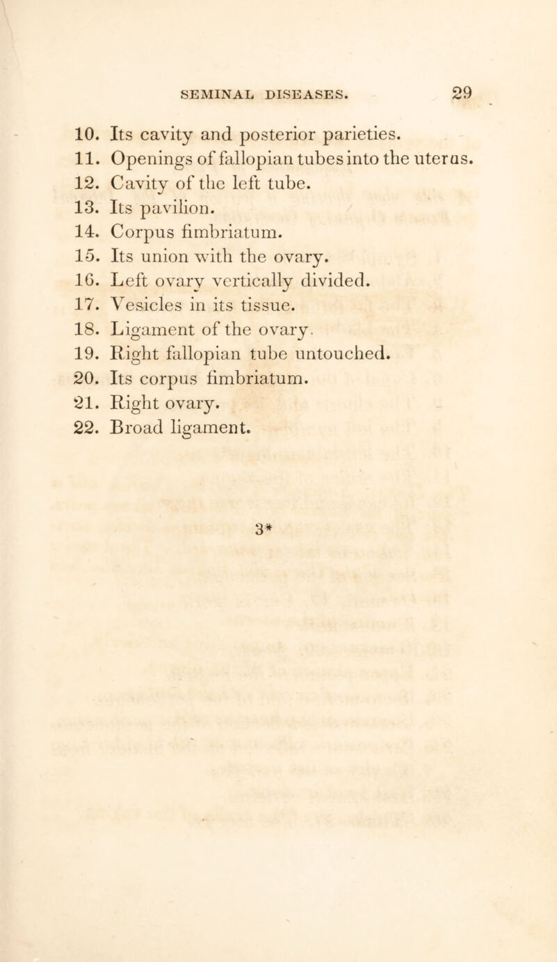 10. Its cavity and posterior parieties. 11. Openings of fallopian tubes into the uterus. 12. Cavity of the left tube. 13. Its pavilion. 14. Corpus fimbriatum. 15. Its union with the ovary. 16. Left ovary vertically divided. 17. Vesicles in its tissue. 18. Ligament of the ovary. 19. Right fallopian tube untouched. 20. Its corpus fimbriatum. 21. Right ovary. 22. Broad ligament. 3*