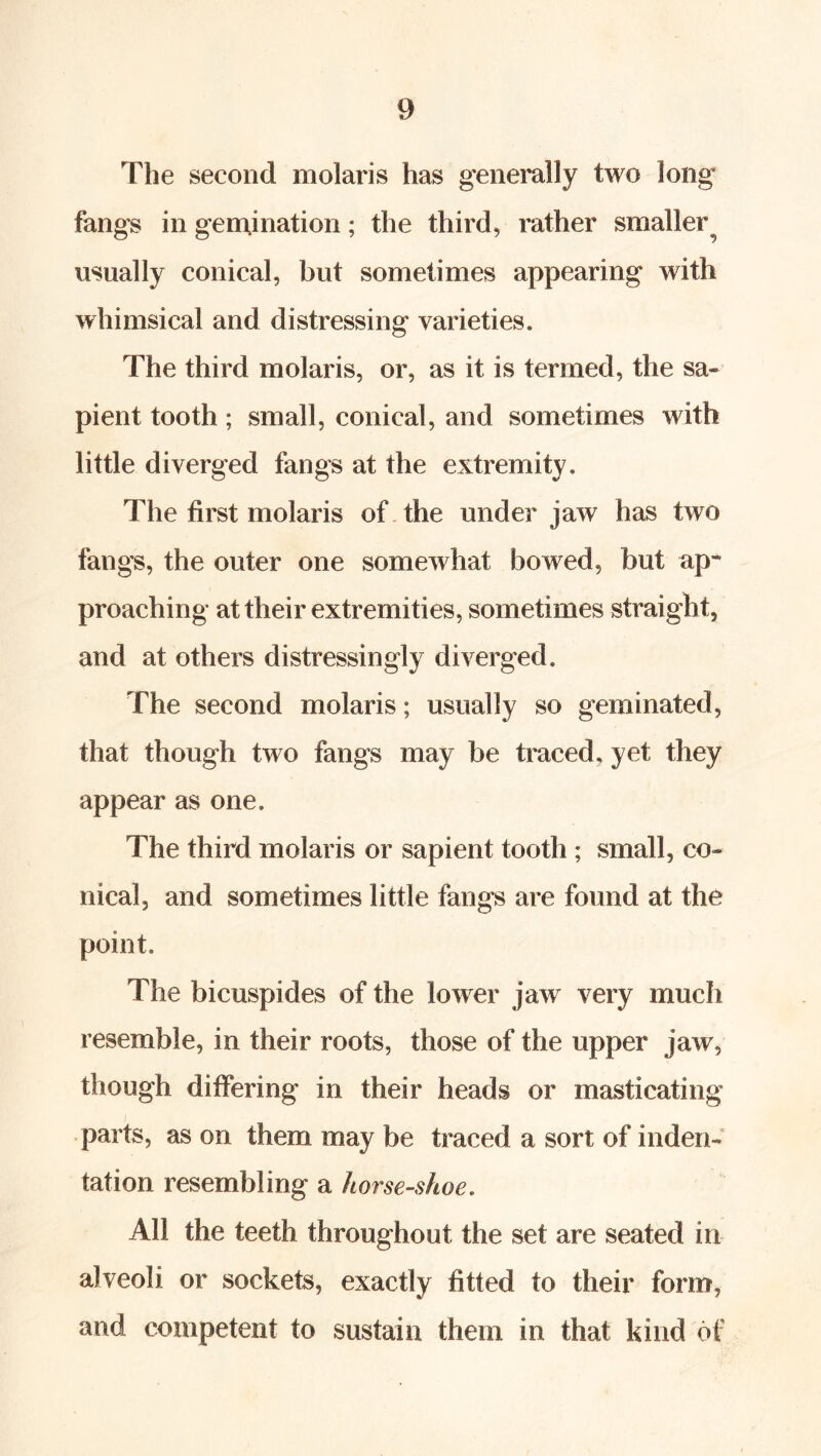 The second molaris has generally two long fangs in gen^ination; the third, rather smaller^ usually conical, but sometimes appearing with whimsical and distressing varieties. The third molaris, or, as it is termed, the sa- pient tooth; small, conical, and sometimes with little diverged fangs at the extremity. The first molaris of The under jaw has two fangs, the outer one somewhat bowed, but ap* preaching at their extremities, sometimes straight, and at others distressingly diverged. The second molaris; usually so geminated, that though two fangs may be traced, yet they appear as one. The third molaris or sapient tooth ; small, co- nical, and sometimes little fangs are found at the point. The bicuspides of the lower jaw very much resemble, in their roots, those of the upper jaw, though differing in their heads or masticating parts, as on them may be traced a sort of inden- tation resembling a horse-shoe. All the teeth throughout the set are seated in alveoli or sockets, exactly fitted to their form, and competent to sustain them in that kind of