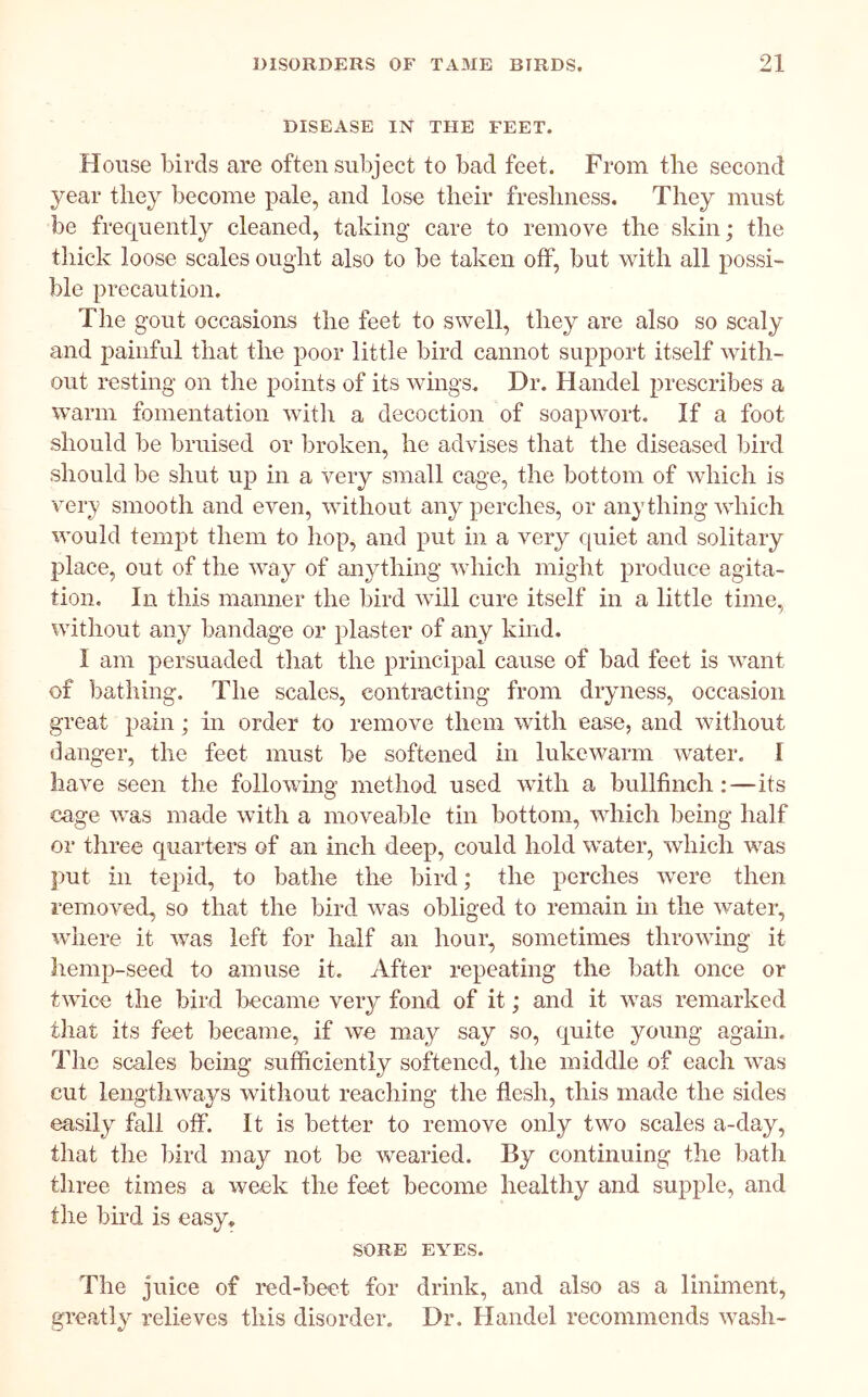 DISEASE IN THE FEET. House birds are often subject to bad feet. From the second year they become pale, and lose their freshness. They must be frequently cleaned, taking care to remove the skin; the thick loose scales ought also to be taken off, but with all possi- ble precaution. The gout occasions the feet to swell, they are also so scaly and painful that the poor little bird cannot support itself with- out resting on the points of its wings. Hr. Handel prescribes a warm fomentation with a decoction of soapwort. If a foot should be bruised or broken, he advises that the diseased bird shonld be shut up in a very small cage, the bottom of which is very smooth and even, without any perches, or anything which would tempt them to hop, and put in a very quiet and solitary place, out of the way of anything which might produce agita- tion. In this manner the bird will cure itself in a little time, without any bandage or plaster of any kind. I am persuaded tliat the principal cause of bad feet is want of bathing. The scales, contracting from dryness, occasion great pain; in order to remove them with ease, and without danger, the feet must be softened in lukewarm water. I have seen the following method used with a bullfinch :—its cage was made with a moveable tin bottom, which being half or three quarters of an inch deep, could hold water, which was put in tepid, to bathe the bird; the perches were then removed, so that the bird was obliged to remain in the water, where it was left for half an hour, sometimes throwing it hemp-seed to amuse it. After repeating the bath once or twice the bird became very fond of it; and it was remarked that its feet became, if we may say so, quite young again. The scales being sufhcientiy softened, the middle of each was cut lengthways without reaching the flesh, this made the sides easily fall off. It is better to remove only two scales a-day, that the bird may not be wearied. By continuing the bath three times a week the feet become healthy and supple, and the bird is easy, SORE EYES. The juice of red-beet for drink, and also as a liniment, greatly relieves this disorder. Dr. Handel recommends wash-