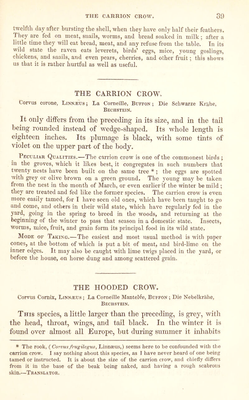 twelfth day after bursting the shell, when they have only half their feathers. They are fed on meat, snails, worms, and bread soaked in milk; after a little time they will eat bread, meat, and any refuse from the table. In its wild state the raven eats leverets, birds’ eggs, mice, young goslings, chickens, and snails, and even pears, cherries, and other fruit; this shows us that it is rather hurtful as well as useful. THE CARRION CROW. Corvus corone, Linn^us ; La Corneille, Buffon ; Die Schwarze Krahe, Bechstein. It only differs from the preceding in its size, and in the tail being rounded instead of w^edge-shaped. Its whole length is eighteen inches. Its plumage is black, with some tmts of violet on the upper part of the body. Peculiar Qualities.—The carrion crow is one of the commonest birds ; in the groves, which it likes best, it congregates in such numbers that twenty nests have been built on the same tree *; the eggs are spotted with grey or olive browm on a green ground. The young may be taken from the nest in the month of March, or even earlier if the winter be mild ; they are treated and fed like the former species. The carrion crow is even more easily tamed, for I have seen old ones, which have been taught to go and come, and others in their wild state, which have regularly fed in the yard, going in the spring to breed in the woods, and returning at the beginning of the winter to pass that season in a domestic state. Insects, W'orms, mice, fruit, and grain form its principal food in its wild state. Mode of Taking.—The easiest and most usual method is with paper cones, at the bottom of which is put a bit of meat, and bird-lime on the inner edges. It may also be caught with lime twigs placed in the yard, or before the house, on horse dung and among scattered grain. THE HOODED CROW. Corvus Cornix, Linnzeus ; La Corneille Mantel^e, Buffon ; Die Nebelkrahe, Bechstein. T HIS species, a little larger than the preceding, is grey, with the head, throat, wings, and tail black. In the winter it is found over almost all Europe, but during summer it inhabits * The rook, ( Corvus frugilegus, Linnaeus,) seems here to be confounded with the carrion crow. I say nothing about this species, as I have never heard of one being tamed or instructed. It is about the size of the carrion crow, and chiefly differs from it in the base of the beak being naked, and having a rough scabrous skin.—Translator.
