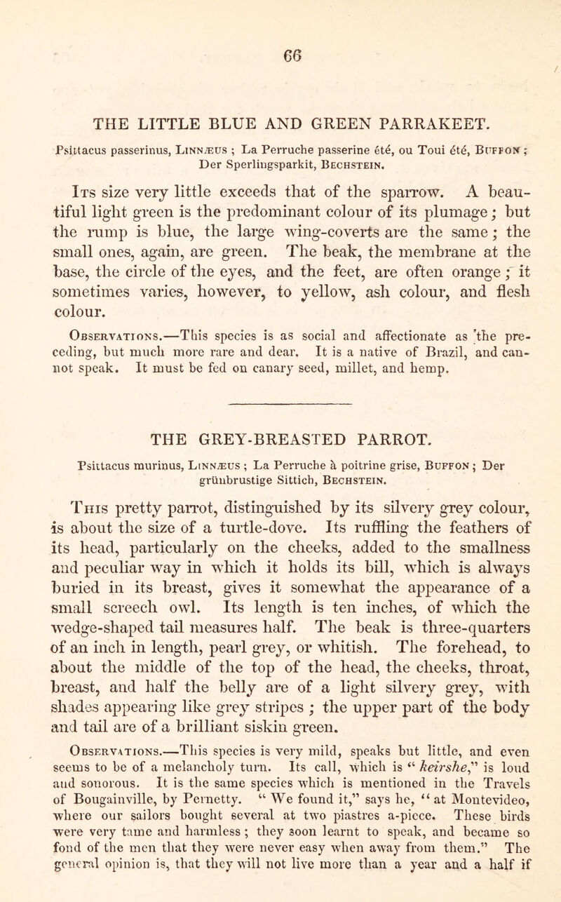 THE LITTLE BLUE AND GREEN PARRAKEET. Psiltacus passerinus, Linn/eus ; La Perruche passerine eti, ou Toui Buffon ; Der Sperlingsparkit, Bechstein. Its size very little exceeds that of the sparrow. A beau- tiful light green is the predominant colour of its plumage; but the rump is blue, the large wing-coverts are the same; the small ones, again, are green. The beak, the membrane at the base, the circle of the eyes, and the feet, are often orange f it sometimes varies, however, to yellow, ash colour, and flesh colour. Observations.—This species is as social and afFeetionate as ’tbe pre- ceding, but much more rare and dear. It is a native of Brazil, and can- not speak. It must be fed on canary seed, millet, and bemp. THE GREY-BREASTED PARROT. Psiltacus murinus, Linn^us ; La Perruche k poitrine grise, Buffon ; Der grilubrustige Sittich, Bechstein. This pretty parrot, distinguished by its silvery grey colour, is about the size of a turtle-dove. Its ruffling the feathers of its head, particularly on the cheeks, added to the smallness and peculiar way in which it holds its bill, which is always buried in its breast, gives it somewhat the appearance of a small screech owl. Its length is ten inches, of which the wedge-shaped tail measures half. The beak is three-quarters of an inch in length, pearl grey, or whitish. The forehead, to about the middle of the top of the head, the cheeks, throat, breast, and half the belly are of a light silvery grey, with shades appearing like grey stripes ; the upper part of the body and tail are of a brilliant siskin green. Observations.—This species is very mild, speaks but little, and even seems to be of a melancholy turn. Its call, •which is “ keirshe^' is loud and sonorous. It is the same species 'which is mentioned in the Travels of Bougainville, by Pernetty. “ We found it,” says he, “ at Montevideo, where our sailors bought several at two piastres a-piece. These birds were very tame and harmless ; they soon learnt to speak, and became so fond of the men that they were never easy when away from them.” The general opinion is, that they will not live more than a year and a half if