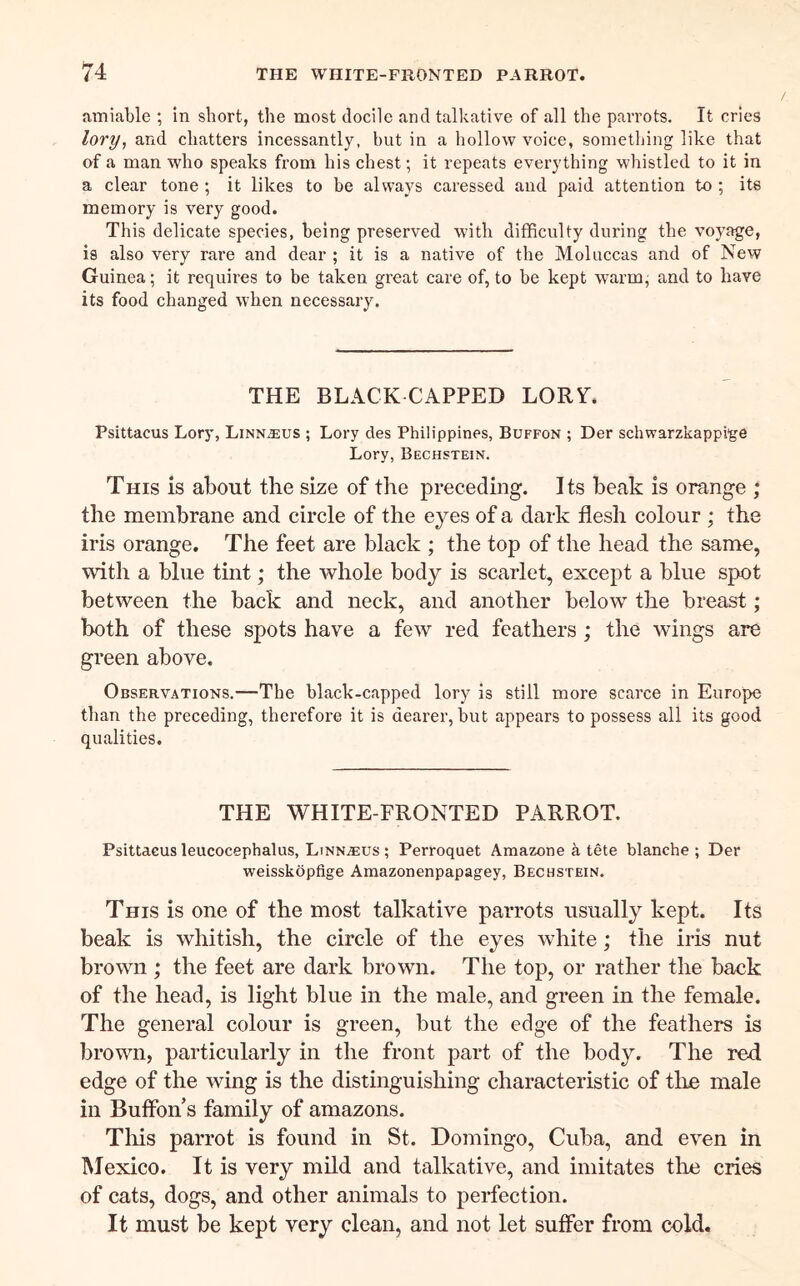 amiable ; in short, the most docile and talkative of all the parrots. It cries lory, and chatters incessantly, but in a hollow voice, sometliing like that of a man who speaks from his chest; it repeats everything whistled to it in a clear tone ; it likes to be always caressed and paid attention to ; its memory is very good. This delicate species, being preserved with difficulty during the voyage, is also very rare and dear ; it is a native of the Moluccas and of New Guinea; it requires to be taken great care of, to be kept warm, and to have its food changed when necessary. THE BLACK CAPPED LOR^. Psittacus Lory, Linn$us ; Lory des Philippines, Buffon ; Der schwarzkappi'ge Lory, Bechstein. THIS is about the size of the preceding. I ts beak is orange ; the membrane and circle of the eyes of a dark flesh colour ; the iris orange. The feet are black ; the top of the head the same, with a blue tint; the whole body is scarlet, except a blue spot between the back and neck, and another below the breast ; both of these spots have a few red feathers ; the wings are green above. Observations.—The black-capped lory is still more scarce in Europe than the preceding, therefore it is dearer, but appears to possess all its good qualities. THE WHITE-FRONTED PARROT. Psittaeus leucocephalus, LtNNAEUS ; Perroquet Araazone k tete blanche ; Der weisskopfige Amazonenpapagey, Bechstein. This is one of the most talkative parrots usually kept. Its beak is whitish, the circle of the eyes white; the iris nut brown ; the feet are dark brown. The top, or rather the back of the head, is light blue in the male, and green in the female. The general colour is green, but the edge of the feathers is brown, particularly in the front part of the body. The red edge of the wing is the distinguishing characteristic of the male in Buffbn s family of amazons. Tills parrot is found in St. Domingo, Cuba, and even in Mexico. It is very mild and talkative, and imitates the cries of cats, dogs, and other animals to perfection. It must be kept very clean, and not let suffer from cold.
