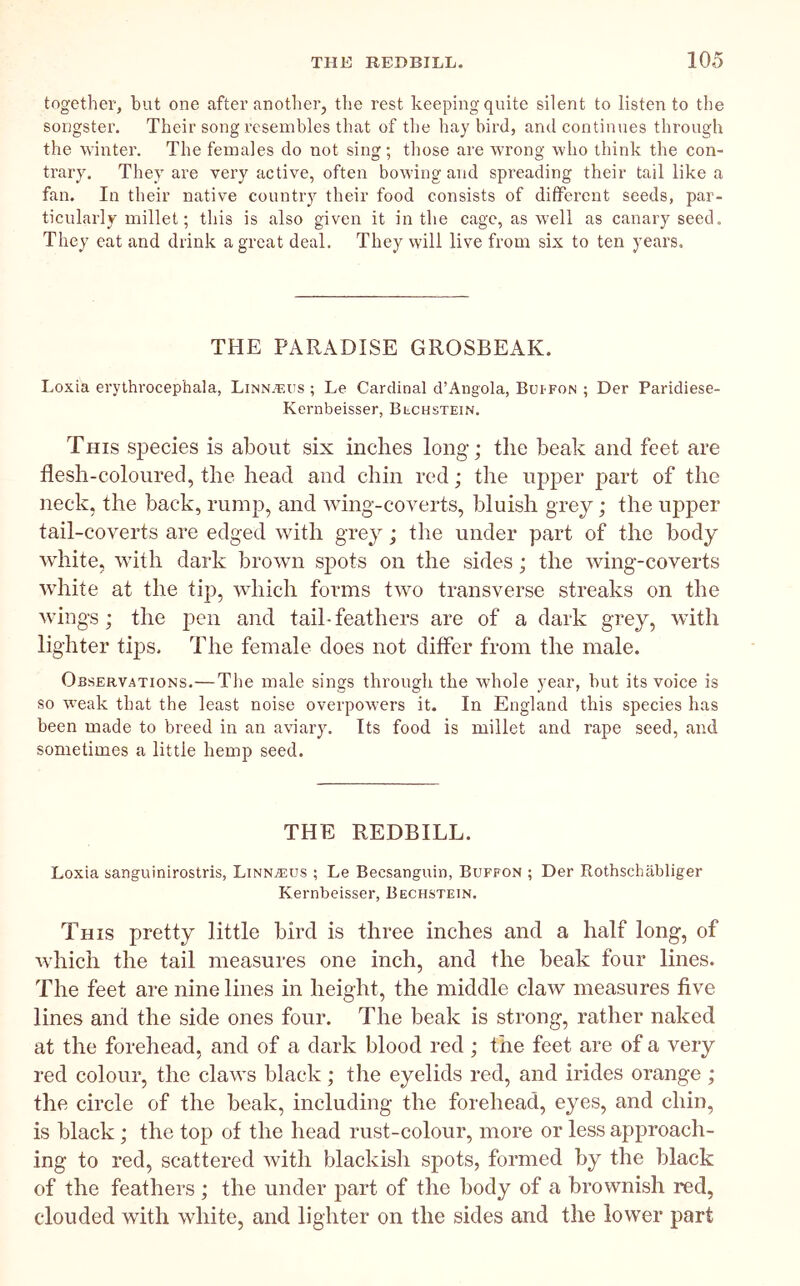 together, but one after another, tlie rest keeping quite silent to listen to the songster. Their song resembles that of the hay bird, and continues through the 'winter. The females do not sing; those are wrong who think the con- trary. They are very active, often bowing and spreading their tail like a fan. In their native country their food consists of different seeds, par- ticularly millet; this is also given it in the cage, as well as canary seed. They eat and drink a great deal. They will live from six to ten years. THE PARADISE GROSBEAK. Loxia erythrocephala, LiMNiEUs ; Le Cardinal d’Angola, BuI'Fon ; Der Paridiese- Keriibeisser, Bcchstein. This species is about six inches long; the beak and feet are flesh-coloured, the head and chin red; the upper part of the neck, the back, rump, and wing-coverts, bluish grey; the upper tail-coverts are edged with grey; the under part of the body white, with dark brown sjiots on the sides; the wing-coverts white at the tip, which forms two transverse streaks on the wings; the pen and tail-feathers are of a dark grey, with lighter tips. The female does not differ from the male. Observations.— The male sings through the whole year, but its voice is so weak that the least noise overpowers it. In England this species has been made to breed in an aviary. Its food is millet and rape seed, and sometimes a little hemp seed. THE REDBILL. Loxia sanguinirostris, Linnaeus ; Le Becsanguin, Buffon ; Der Rothschabliger Kernbeisser, Bechstein. This pretty little bird is three inches and a half long, of which the tail measures one inch, and the beak four lines. The feet are nine lines in height, the middle claw measures five lines and the side ones four. The beak is strong, rather naked at the forehead, and of a dark blood red ; the feet are of a very red colour, the claws black; the eyelids red, and irides orange ; the circle of the beak, including the forehead, eyes, and chin, is black; the top of the head rust-colour, more or less approach- ing to red, scattered with blackish spots, formed by the black of the feathers ; the under part of the body of a brownish red, clouded with white, and lighter on the sides and the lower part