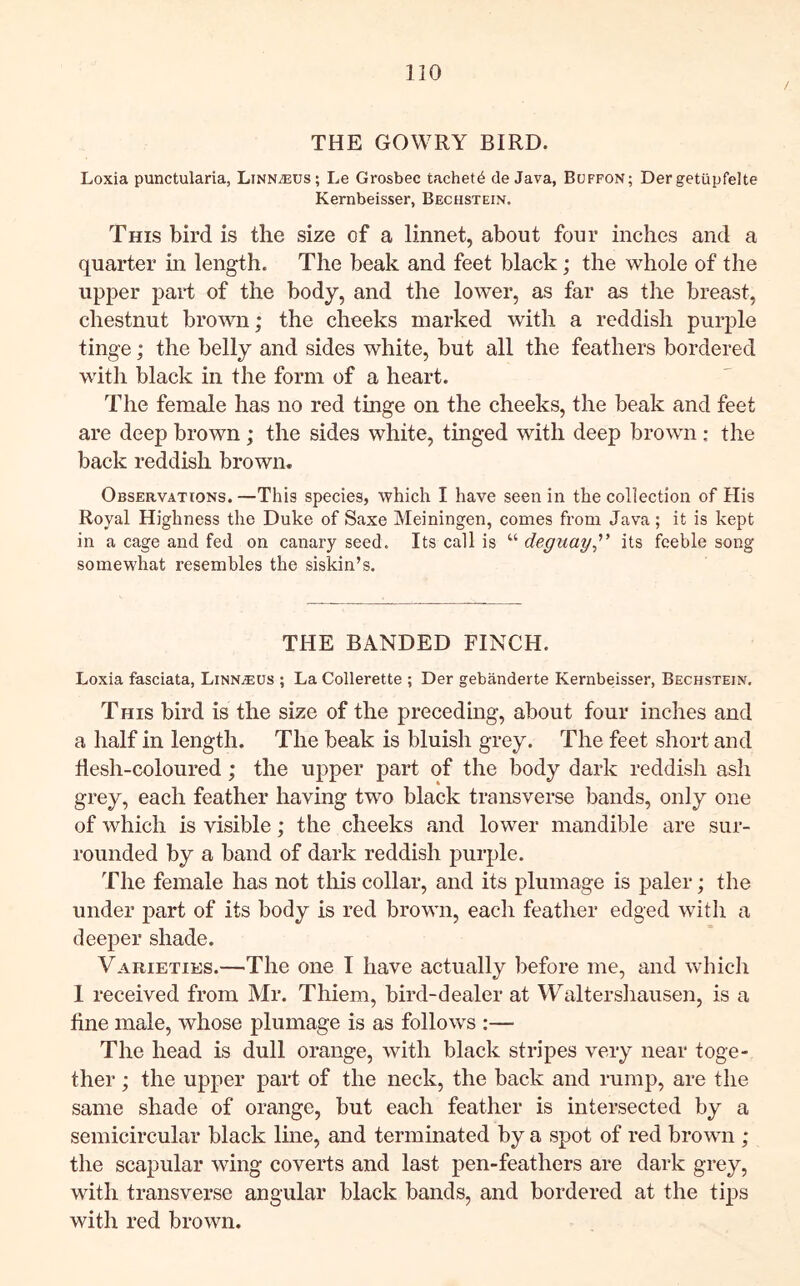THE GOWRY BIRD. Loxia punctularia, Linnaeus; Le Grosbec tachet^ de Java, Buffon; Dergetiipfelte Kernbeisser, Bechstein. This bird is the size of a linnet, about four inches and a quarter in length. The beak and feet black; the whole of the upper part of the body, and the lower, as far as the breast, chestnut brown; the cheeks marked with a reddish purple tinge; the belly and sides white, but all the feathers bordered with black in the form of a heart. The female has no red tinge on the cheeks, the beak and feet are deep brown ; the sides white, tinged with deep brown : the back reddish brown. Observations.—This species, which I have seen in the collection of His Royal Highness the Duke of Saxe Meiningen, comes from Java ; it is kept in a cage and fed on canary seed. Its call is “ deguay^' its feeble song somewhat resembles the siskin’s. THE BANDED FINCH. Loxia fasciata, Linnaeus ; La Collerette ; Der gebanderte Kernbeisser, Bechstein. This bird is the size of the preceding, about four inches and a half in length. The beak is bluish grey. The feet short and llesh-coloured; the upper part of the body dark reddish ash grey, each feather having two black transverse bands, only one of which is visible; the cheeks and lower mandible are sur- rounded by a band of dark reddish jiurple. The female has not this collar, and its plumage is paler; the under part of its body is red brown, each feather edged with a deeper shade. Varieties.—The one I have actually before me, and which 1 received from Mr. Thiem, bird-dealer at Waltershausen, is a fine male, whose plumage is as follows :— The head is dull orange, with black stripes very near toge- ther ; the upper part of the neck, the back and rump, are the same shade of orange, but each feather is intersected by a semicircular black line, and terminated by a spot of red brown ; the scapular wing coverts and last pen-feathers are dark grey, with transverse angular black bands, and bordered at the tips with red brown.
