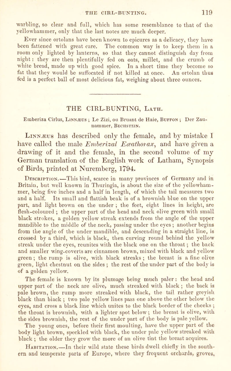 warbling, so clear and full, which has some resemblance to that of the jellowhammer, only that the last notes are much deeper. Ever since ortolans have been known to epicures as a delicacy, they have been fattened with great care. The common way is to keep them in a room only lighted by lanterns, so that they cannot distinguish day from night; they are then plentifully fed on oats, millet, and the crumb of white bread, made up wuth good spice. In a short time they become so fat that they would be suffocated if not killed at once. An ortolan thus fed is a perfect ball of most delicious fat, w’eighing about three ounces. THE CIRL-BUNTING, Lath. Emberiza Cirlus, Linnaeus ; Le Zizi, ou Bruant de Hale, Buffon ; Der Zau- nammer, Bechstein. LiNN.a:us has described only the female, and by mistake I have called the male Emherizal Eceathorax^ and have given a drawing of it and the female, in the second volume of my German translation of the English work of Latham, Synopsis of Birds, printed at Nuremberg, 1794. Description.—This bird, scarce in many provinces of Germany and in Britain, but well knowTi in Thuringia, is about the size of the yellowham- mer, being five inches and a half in length, of which the tail measures two and a half. Its small and flatfish beak is of a brownish blue on the upper part, and light brown on the under ; the feet, eight lines in height, are flesh-coloured ; the upper part of the head and neck olive green with small black strokes, a golden yellow streak extends from the angle of the upper mandible to the middle of the neck, passing under the eyes ; another begins from the angle of the under mandible, and desceiiding in a straight line, is crossed by a third, wdiich is black, then curving round behind the yellow streak under the eyes, reunites with the black one on the throat; the back and smaller wing-coveiTs are cinnamon brown, mixed with black and yellow green ; the rump is olive, with black streaks ; the breast is a fine oliye green, light chestnut on the sides ; the rest of the under part of the body is of a golden yellorv. The female is knowm by its plumage being much paler: the head and upper part of the neck are olive, much streaked with black ; the back is pale brown, the rump more streaked with black, the tail rather greyish black than black ; two pale yellow lines pass one above the other below the eyes, and cross a black line which unites to the black border of the cheeks ; the throat is brownish, with a lighter spot below; the bi'east is olive, with the sides brownish, the rest of the under part of the body is pale yellow. The young ones, before their first moulting, have the upper part of the body light brown, speckled with black, the under pale yellow streaked with black ; the older they grow the more of an olive tint the breast acquires. Habitation.—In their wild state these birds dwell chiefly in the south- ern and temperate parts of Europe, where they frequent orchards, groves,