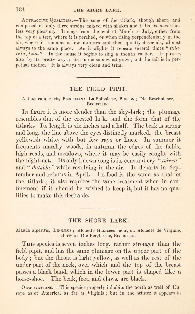 Attractive Qualities.—The song of the titlark, though short, and composed of only three strains mixed with shakes and trills, is neverthe- less very pleasing. It sings from the end of March to July, either from the top of a tree, where it is perched, or when rising perpendicularly in the air, where it remains a few minutes and then quietly descends, almost always to the same place. As it alights it repeats several times “■ tzxa^ tzia^ tzia''' In the house it begins to sing a month earlier. It pleases also by its pretty ways ; its step is somewhat grave, and the tail is in per- petual motion : it is always very clean and trim. THE FIELD PIPIT. Anthus carapestris, Bechstein; La Spipolette, Buffon ; Die Brachpieper, Bechstein. In figure it is more slender than the sky-lark; the plumage resembles that of the crested lark, and the form that of the titlark I. Its length is six inches and a half. The beak is strong and long, the line above the eyes distinctly marked, the breast yellowish white, with but few rays or lines. In summer it frequents marshy woods, in autumn the edges of the fields, high roads, and meadows, where it may be easily caught with the night-net. Its only known song is its constant cry tsirru ” and datsida” while revolving in the air. It departs in Sep- tember and returns in April. Its food is the same as that of the titlark ; it also requires the same treatment when m con- finement if it should be wished to keep it, but it has no qua- lities to make this desirable. THE SHORE LARK. Alauda alpestris, Linnaeus ; Alouette Haussecol noir, ou Alouette de Virglnie, Buffon ; Die Berglerche, Bechstein. This species is seven inches long, rather stronger than the field pipit, and has the same plumage on the ujiper part of the body; but the throat is light yellow, as well as the rest of the under part of the neck, over which and the top of the breast passes a black band, which in the lower part is shaped like a horse-shoe. The beak, feet, and claws, are black. Observations.—This species properly inhabits the north as well of Eu- rope as of America, as far as Virginia; but in the winter it appears in