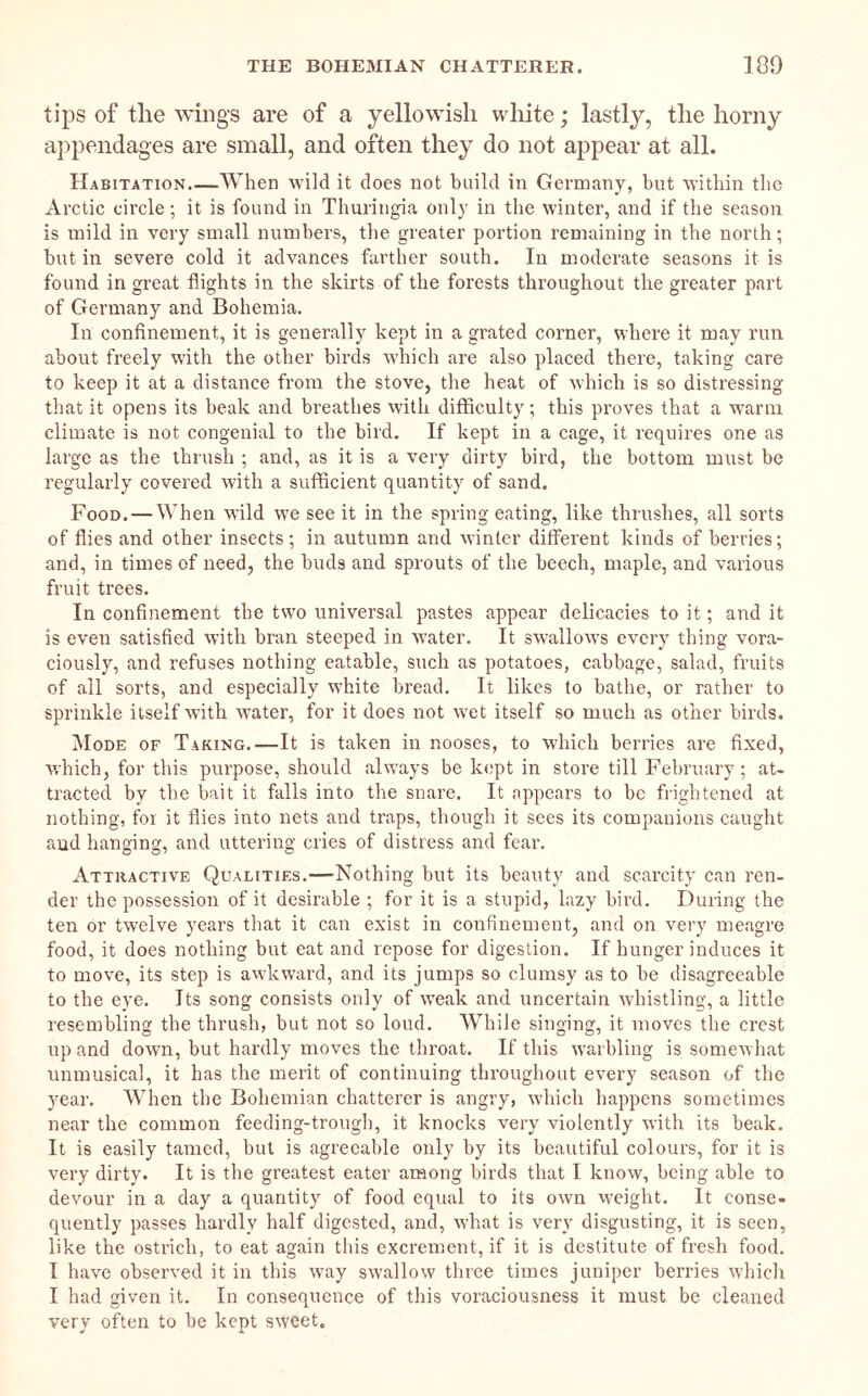 tips of the wings are of a yellowish white; lastly, the horny appendages are small, and often they do not appear at all. Habitation.—When wild it does not build in Germany, but within the Arctic circle; it is found in Thuringia only in the winter, and if the season is mild in very small numbers, the greater portion remaining in the north; but in severe cold it advances farther south. In moderate seasons it is found in great flights in the skirts of the forests throughout the greater part of Germany and Bohemia. In confinement, it is generally kept in a grated corner, where it may run about freely with the other birds which are also placed there, taking care to keep it at a distance from the stove, the heat of which is so distressing that it opens its beak and breathes with difficulty; this proves that a warm climate is not congenial to the bird. If kept in a cage, it requires one as large as the thrush ; and, as it is a very dirty bird, the bottom must be regularly covered with a sufficient quantity of sand. Food. — When wild we see it in the spring eating, like thrushes, all sorts of flies and other insects ; in autumn and winter different kinds of berries; and, in times of need, the buds and sprouts of the beech, maple, and various fruit trees. In confinement the two universal pastes appear delicacies to it; and it is even satisfied with bran steeped in water. It swallows every thing vora- ciously, and refuses nothing eatable, such as potatoes, cabbage, salad, fruits of all sorts, and especially white bread. It likes to bathe, or rather to sprinkle itself with water, for it does not wet itself so much as other birds. Mode of Taking.—It is taken in nooses, to which berries are fixed, which, for this purpose, should always be kept in store till February; at- tracted by the bait it falls into the snare. It appears to be frightened at nothing, for it flies into nets and traps, though it sees its companions caught and hanging, and uttering cries of distress and fear. Attractive Qualities.—Nothing but its beauty and scai’city can ren- der the possession of it desirable ; for it is a stupid, lazy bird. During the ten or twelve years that it can exist in confinement, and on very meagre food, it does nothing but eat and repose for digestion. If hunger induces it to move, its step is awkward, and its jumps so clumsy as to be disagreeable to the eye. Its song consists only of weak and uncertain whistling, a little resembling the thrush, but not so loud. While singing, it moves the crest up and down, but hardly moves the throat. If this warbling is someAvhat unmusical, it has the merit of continuing throughout every season of the year. When the Bohemian chatterer is angry, which happens sometimes near the common feeding-trough, it knocks very violently with its beak. It is easily tamed, but is agreeable only by its beautiful colours, for it is very dirty. It is the greatest eater among birds that I know, being able to devour in a day a quantity of food equal to its own weight. It conse- quently passes hardly half digested, and, what is very disgusting, it is seen, like the ostrich, to eat again this excrement, if it is destitute of fresh food. I have observed it in this way swallow three times juniper berries which I had given it. In consequence of this voraciousness it must be cleaned very often to be kept sweet.